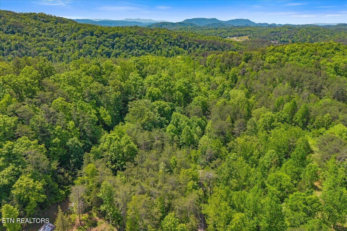 215 Citico Road Lot 1 Road Vonore TN 37885