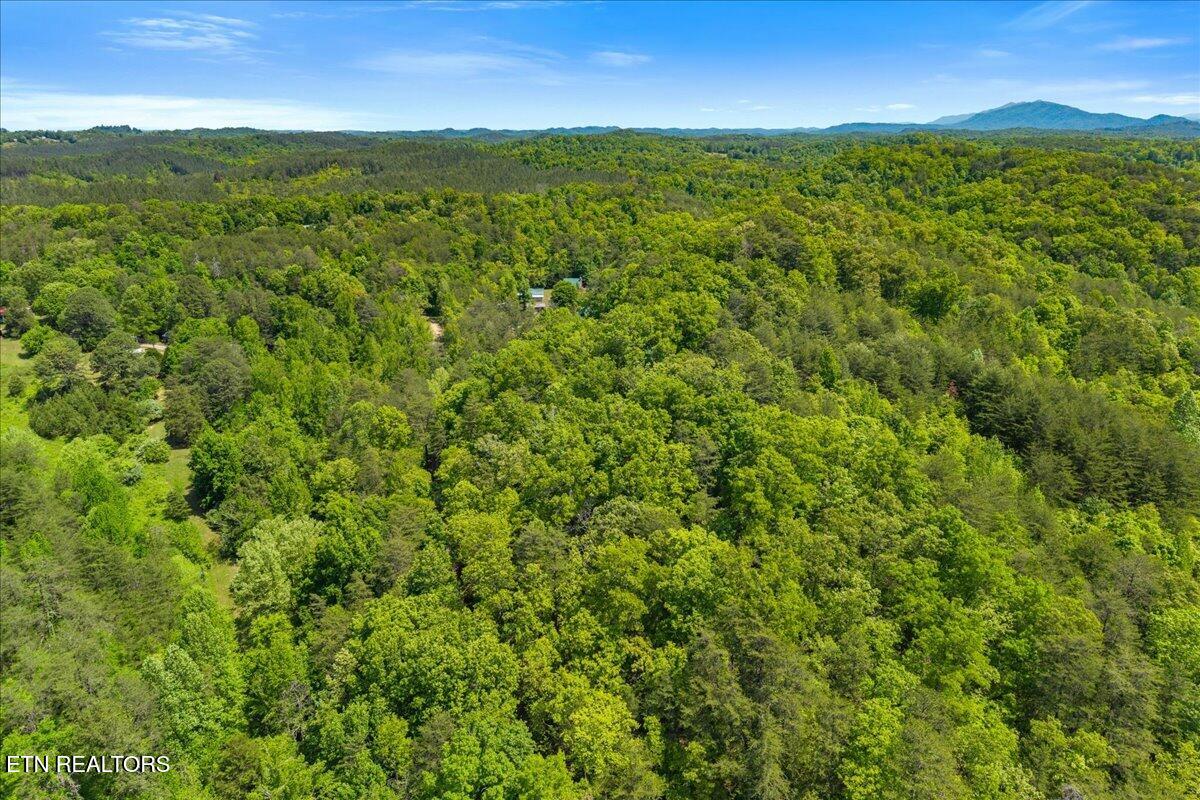 215 Citico Road Lot 1 Road Vonore TN 37885