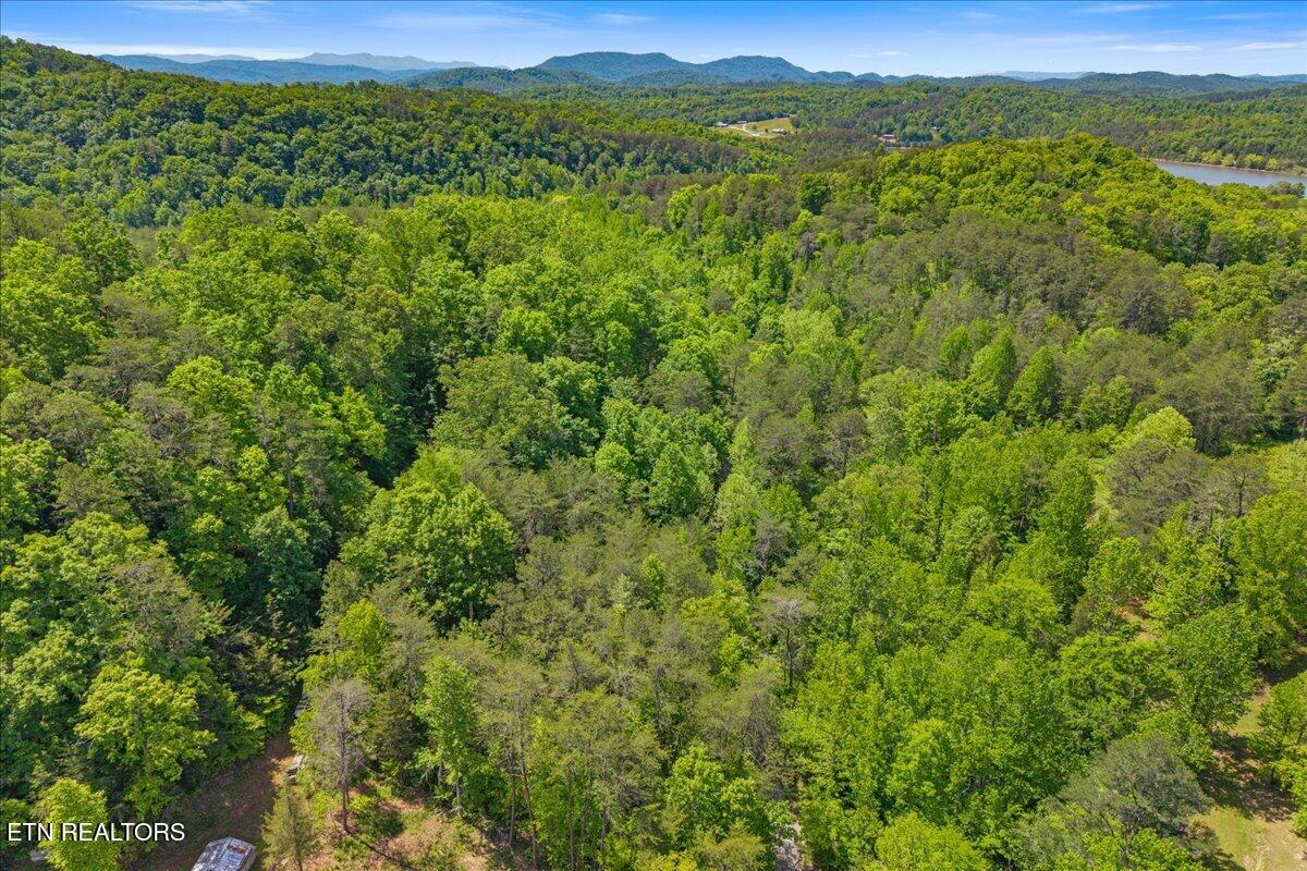215 Citico Road Lot 1 Road Vonore TN 37885