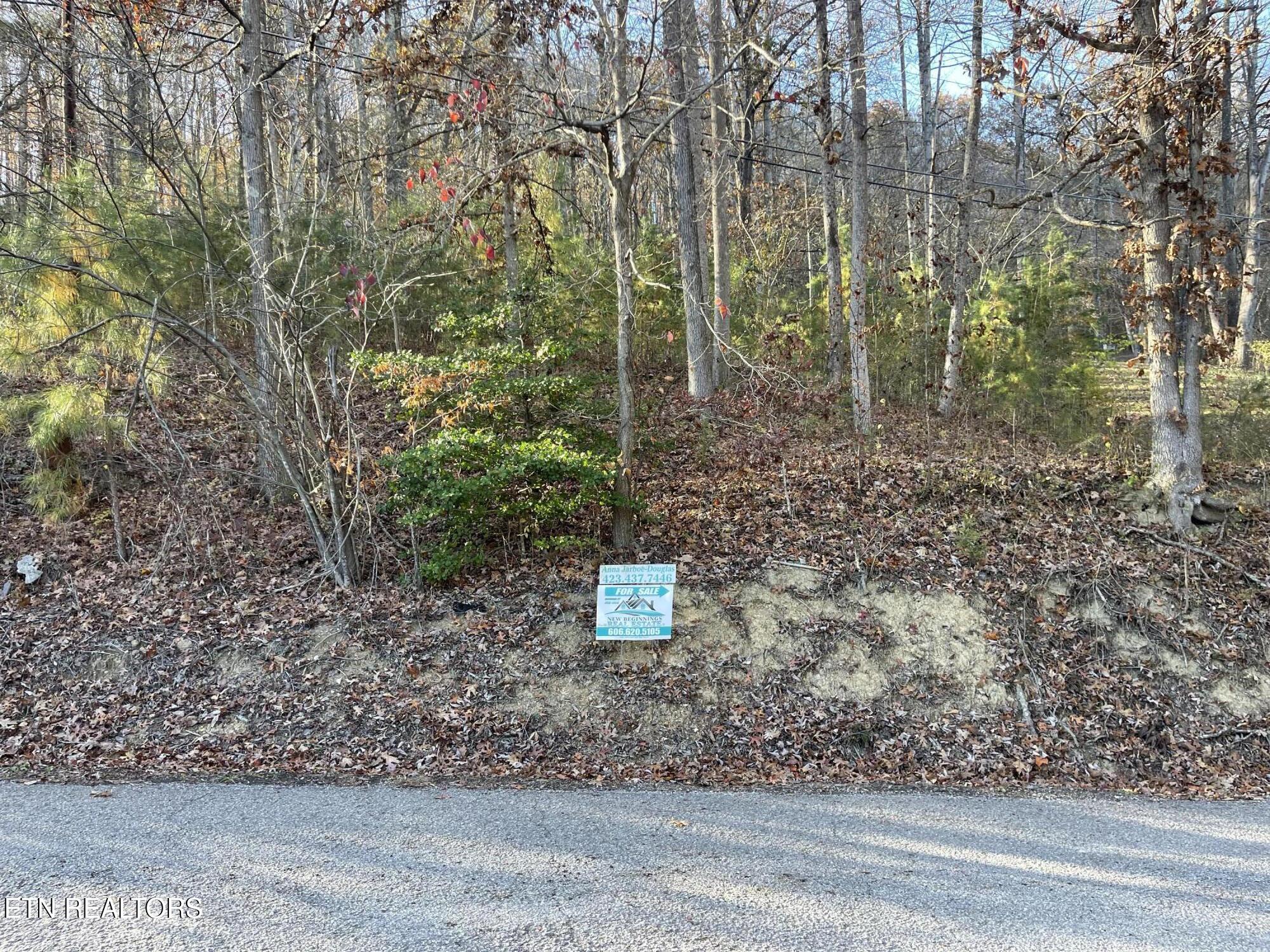 0 Holiday Lane Jellico TN 37762