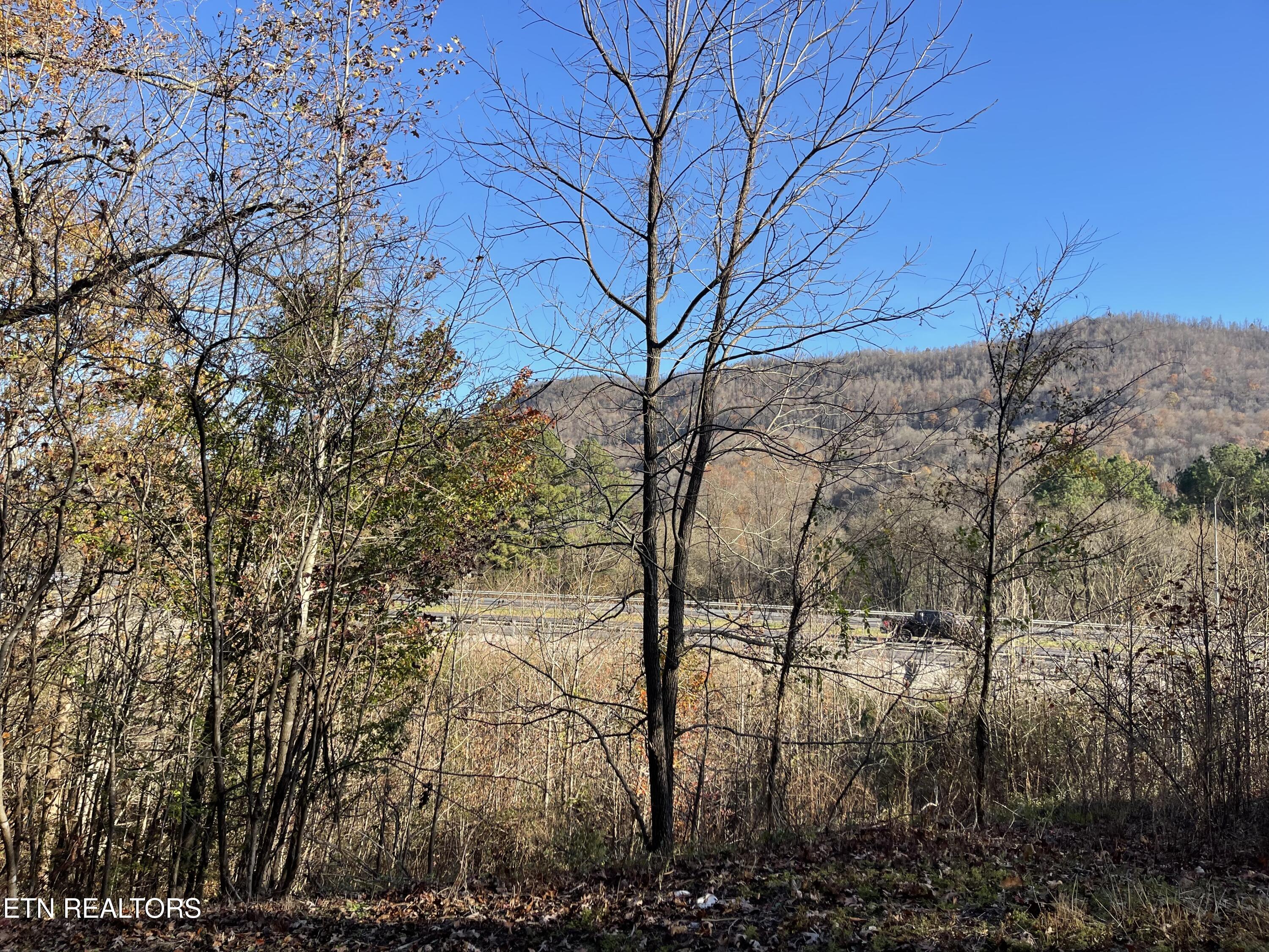 0 Holiday Lane Jellico TN 37762
