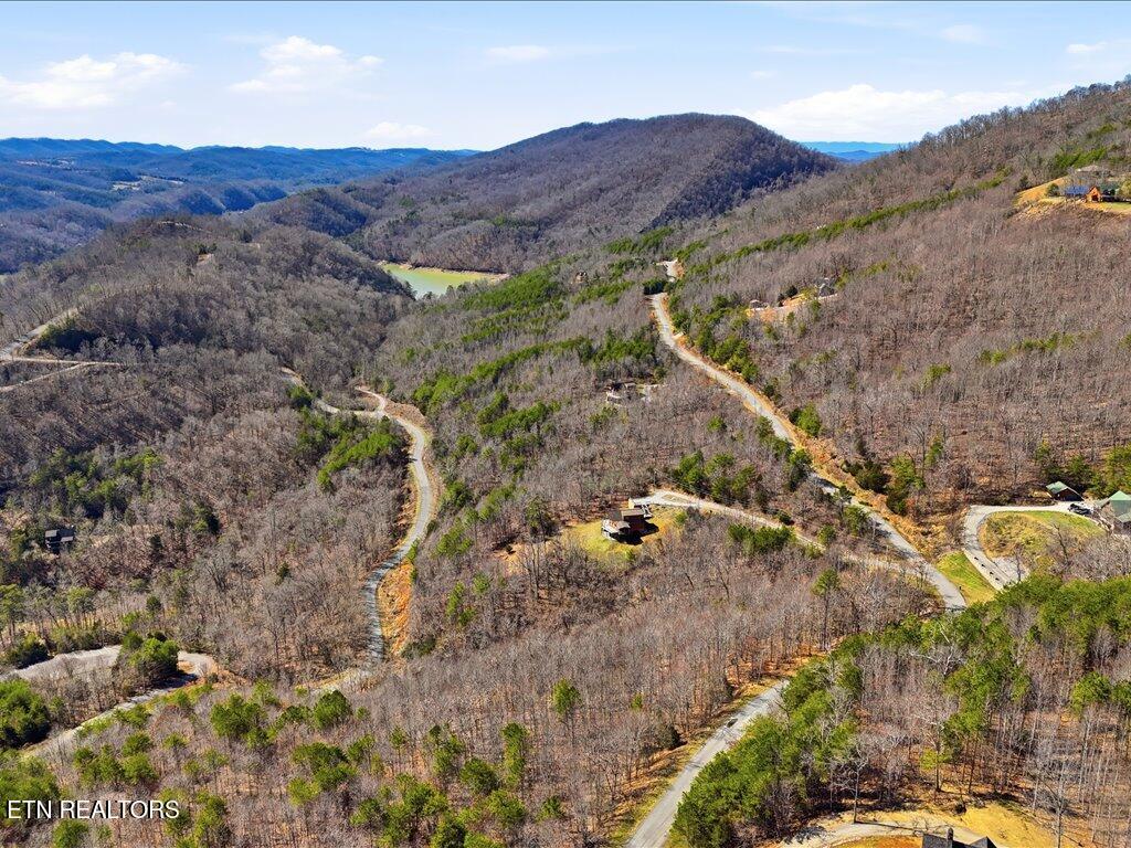 Lot 717 Whistle Valley Road New Tazewell TN 37825