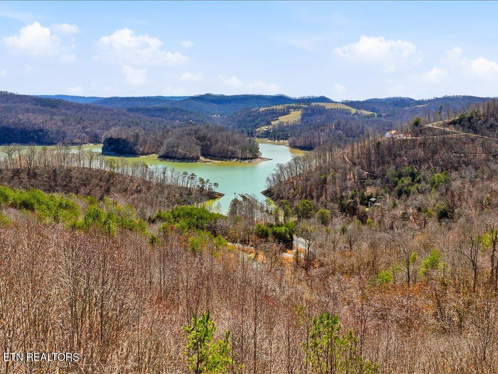 Lot 717 Whistle Valley Road New Tazewell TN 37825