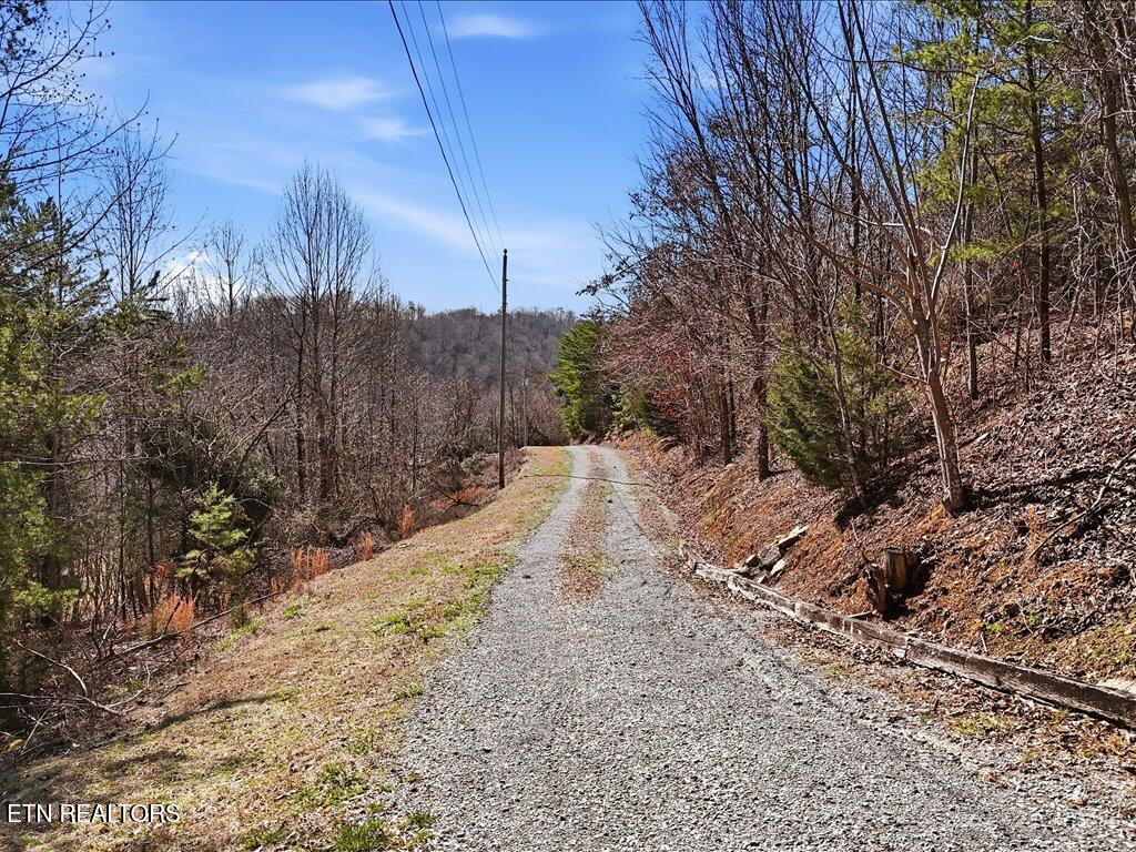 Lot 717 Whistle Valley Road New Tazewell TN 37825