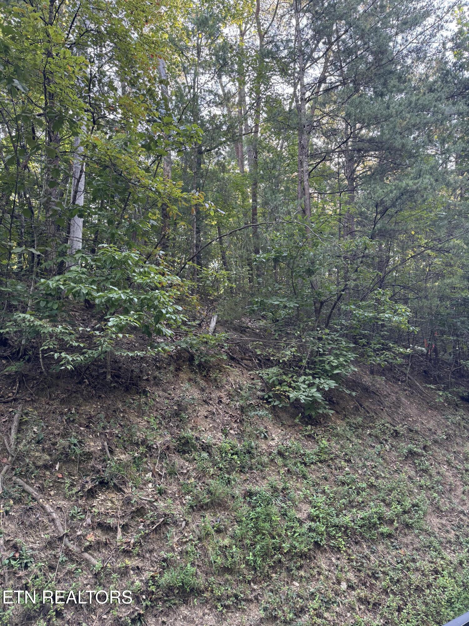 Progess Hill Drive Boulevard Pigeon Forge TN 37863