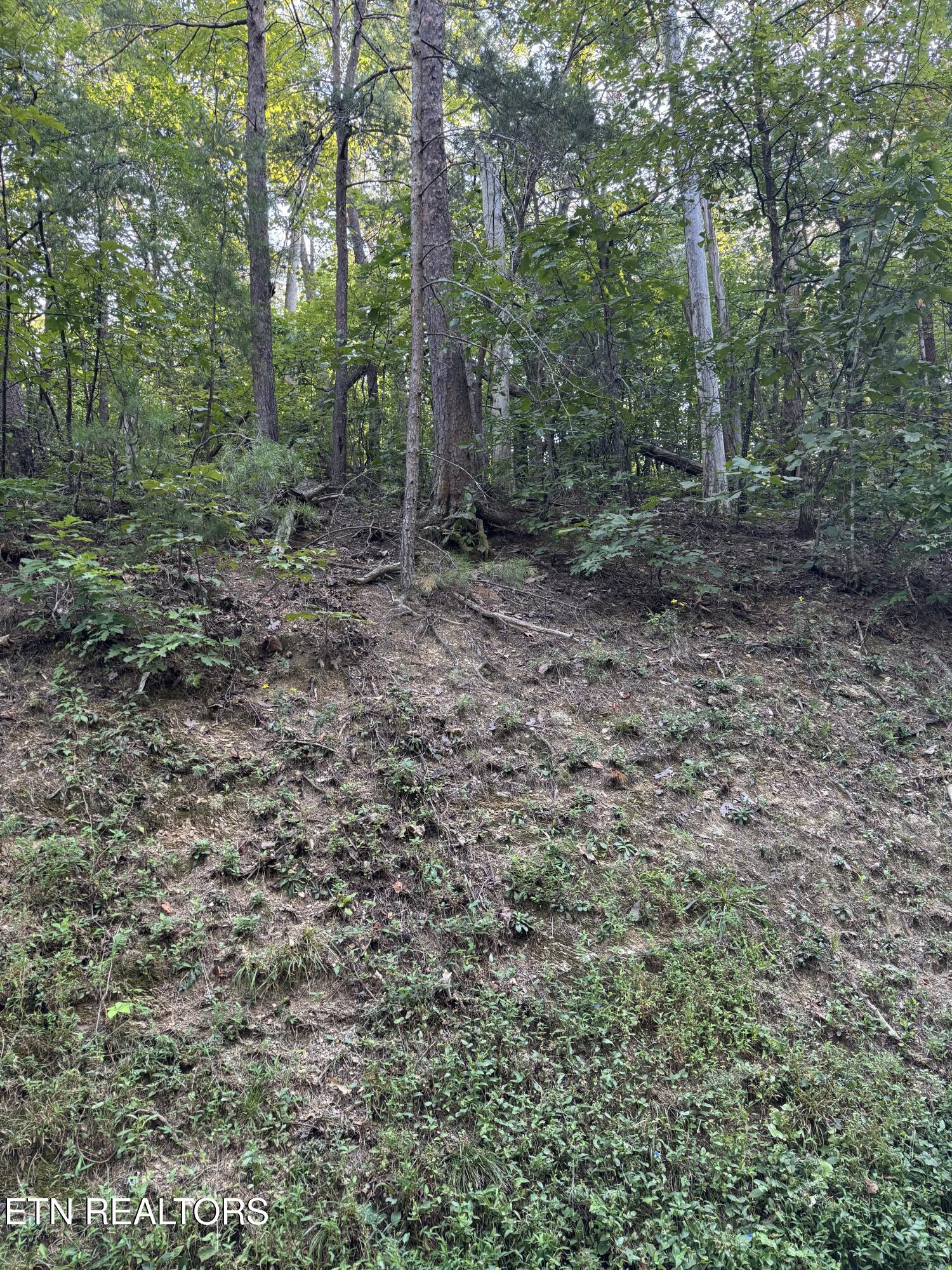 Progess Hill Drive Boulevard Pigeon Forge TN 37863