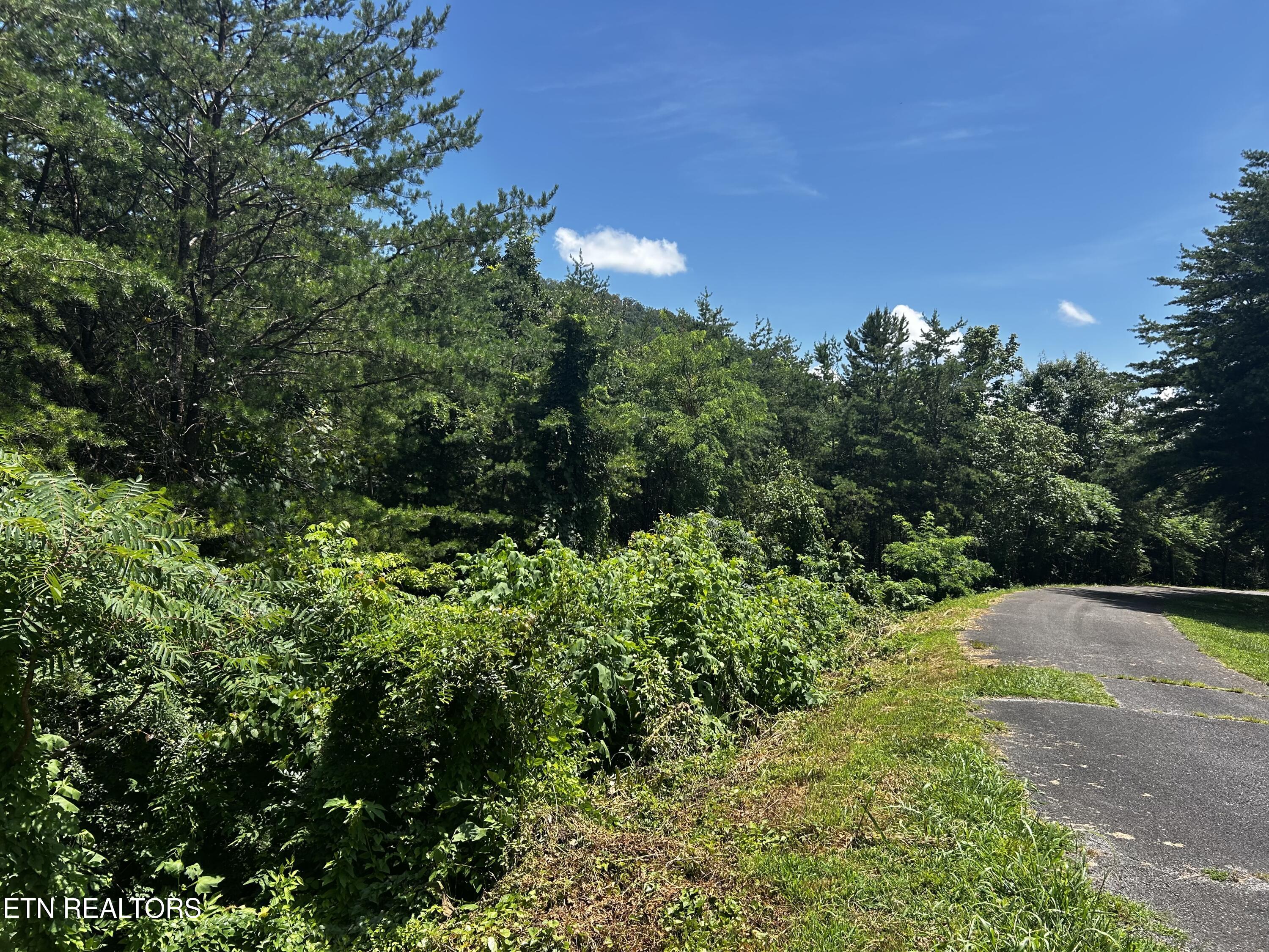 Highlands Bluff Road Tellico Plains TN 37385