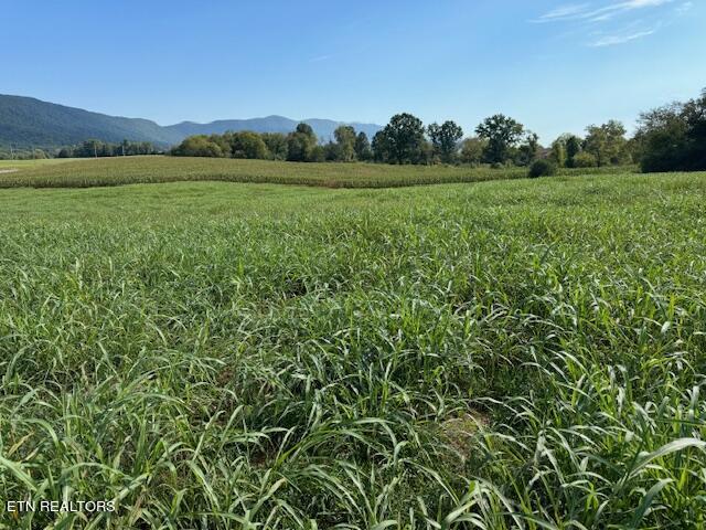 4 Ac General Carl W Stiner Highway Lafollette TN 37766