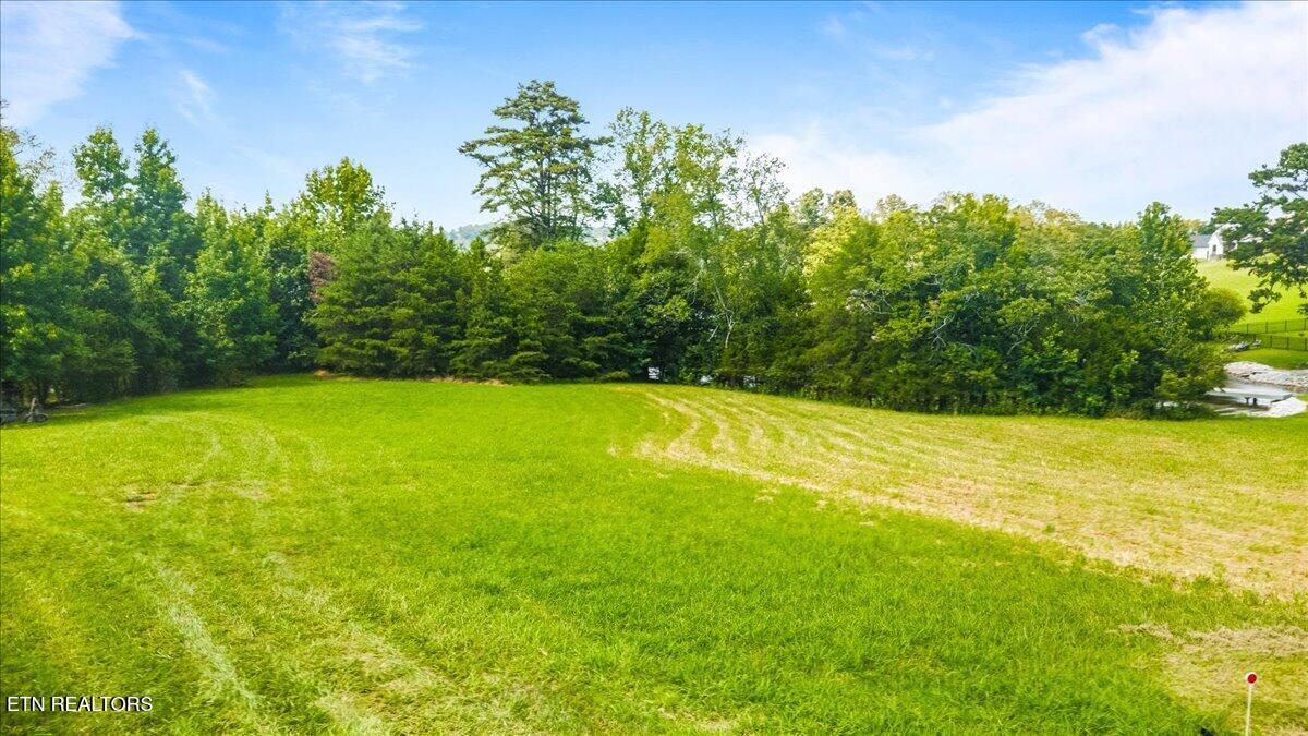 106 Grande Harbour Point Rockwood TN 37854