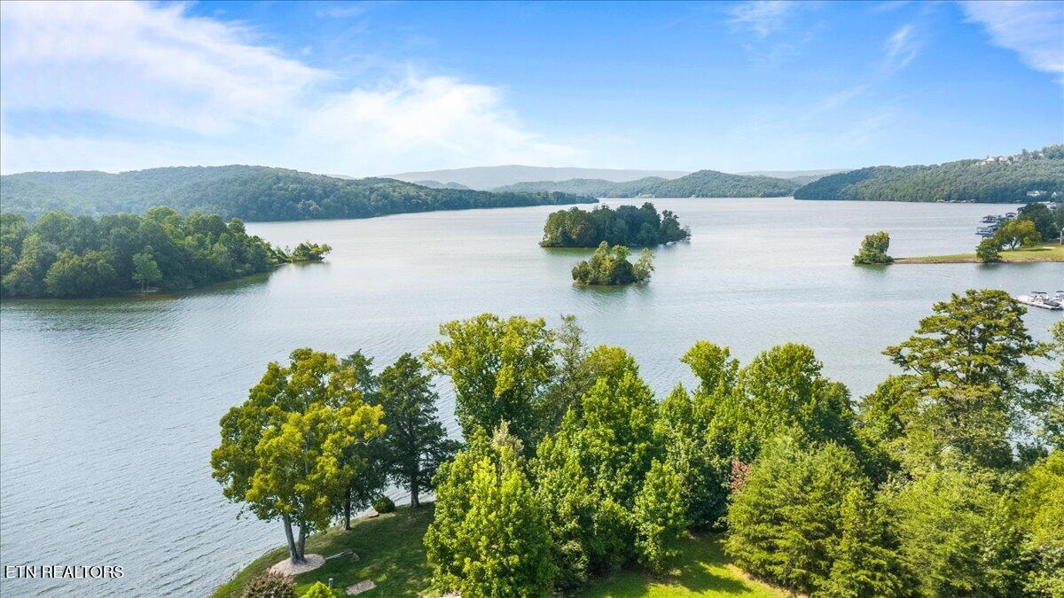 106 Grande Harbour Point Rockwood TN 37854