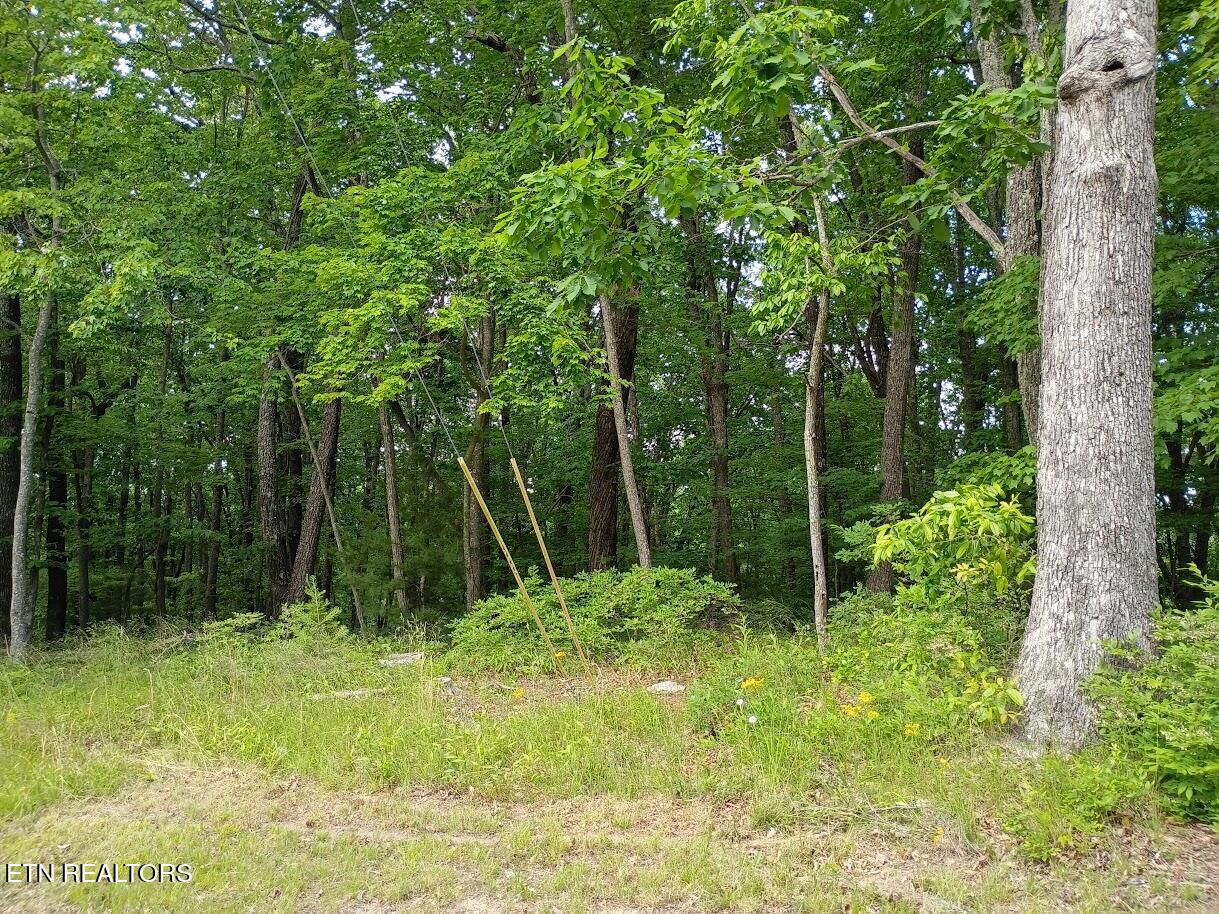 108 Pineridge Loop Crossville TN 38558