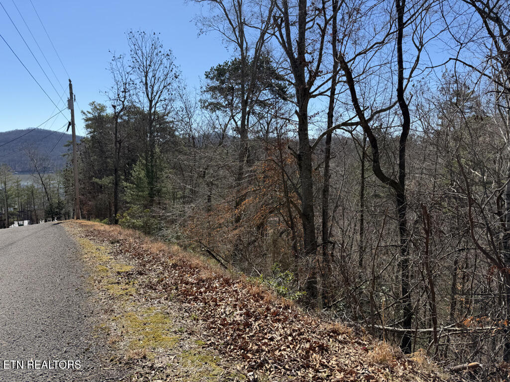 Lot 31 Ridgeland Drive Sharps Chapel TN 37866