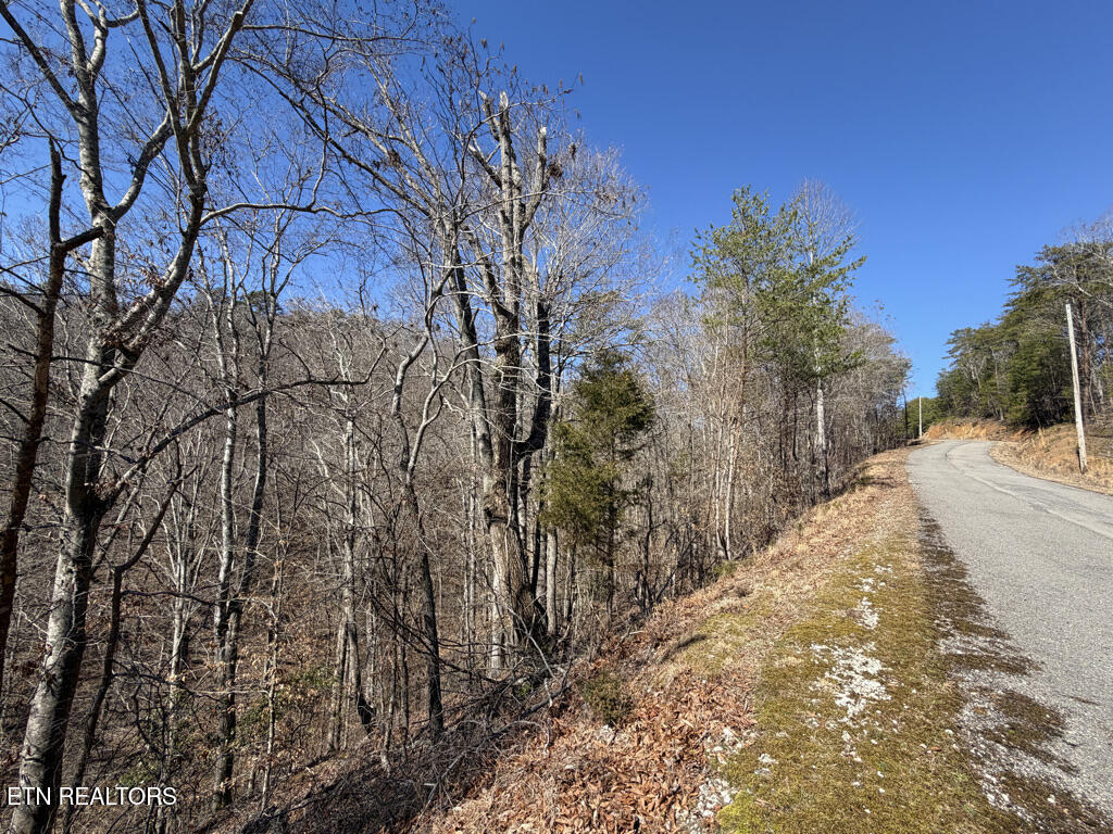 Lot 31 Ridgeland Drive Sharps Chapel TN 37866