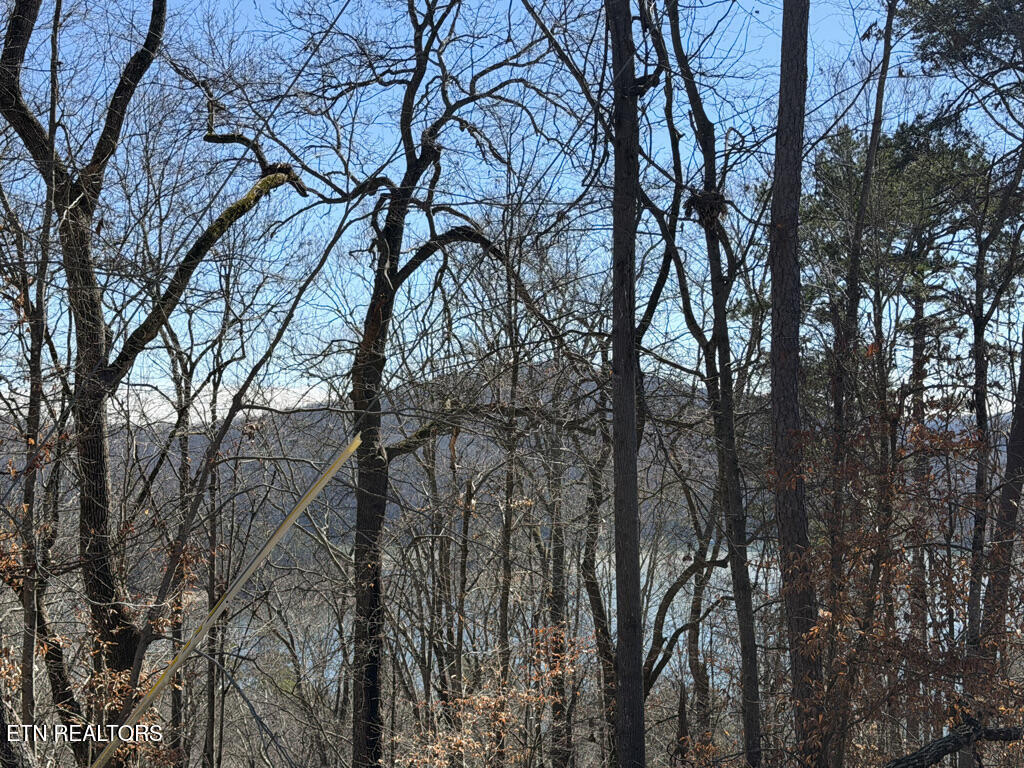 Lot 31 Ridgeland Drive Sharps Chapel TN 37866