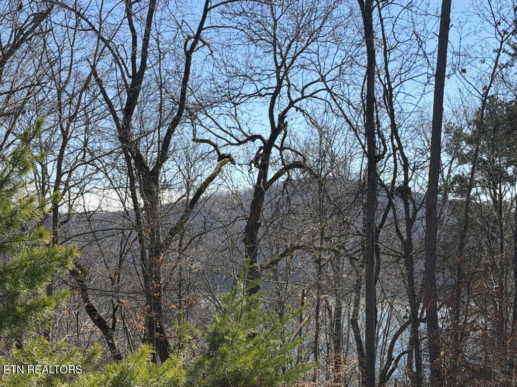 Lot 31 Ridgeland Drive Sharps Chapel TN 37866