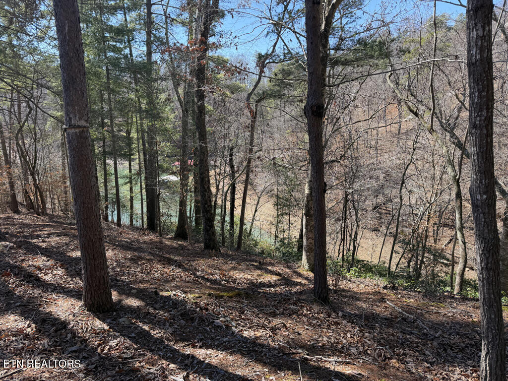 Lot 31 Ridgeland Drive Sharps Chapel TN 37866