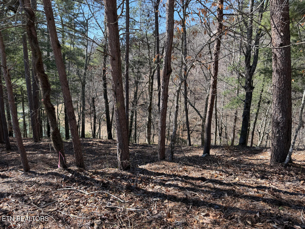 Lot 31 Ridgeland Drive Sharps Chapel TN 37866