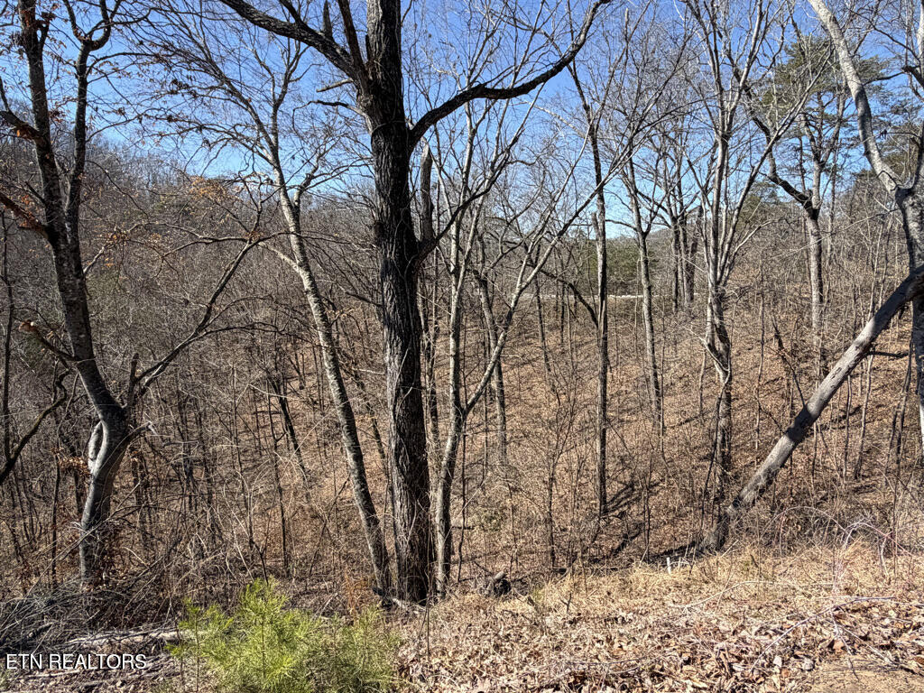 Lot 31 Ridgeland Drive Sharps Chapel TN 37866
