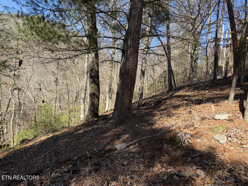 Lot 31 Ridgeland Drive Sharps Chapel TN 37866