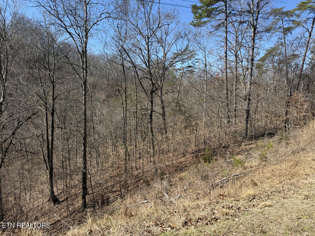Lot 31 Ridgeland Drive Sharps Chapel TN 37866
