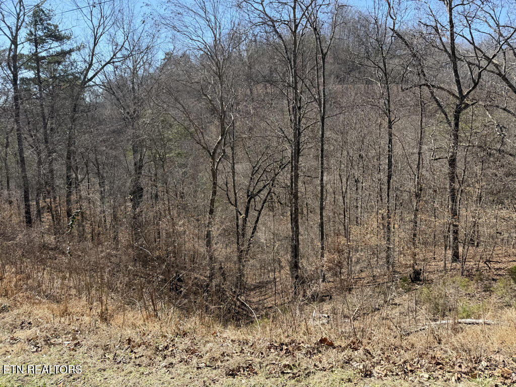 Lot 31 Ridgeland Drive Sharps Chapel TN 37866