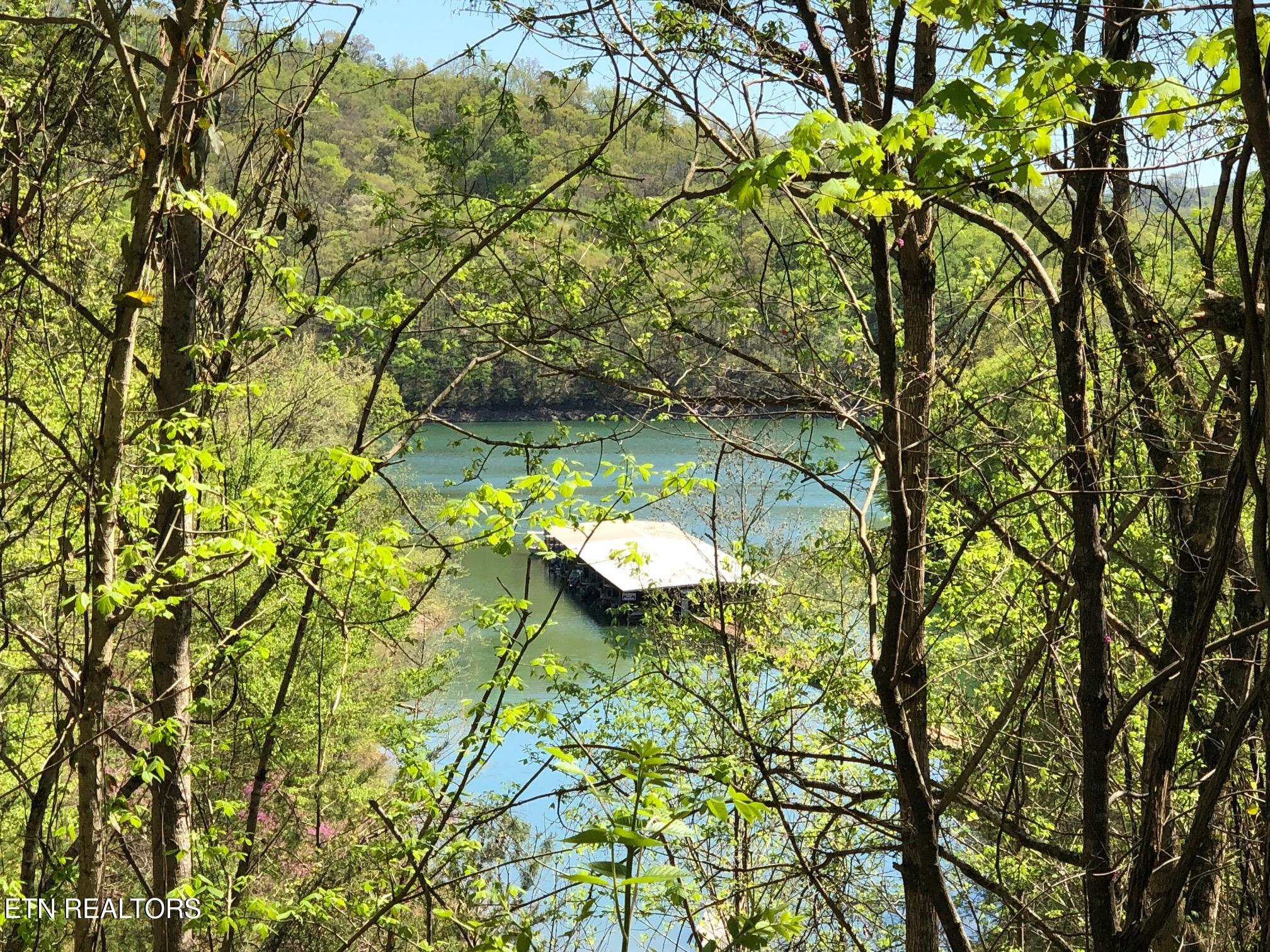 Lot 31 Ridgeland Drive Sharps Chapel TN 37866