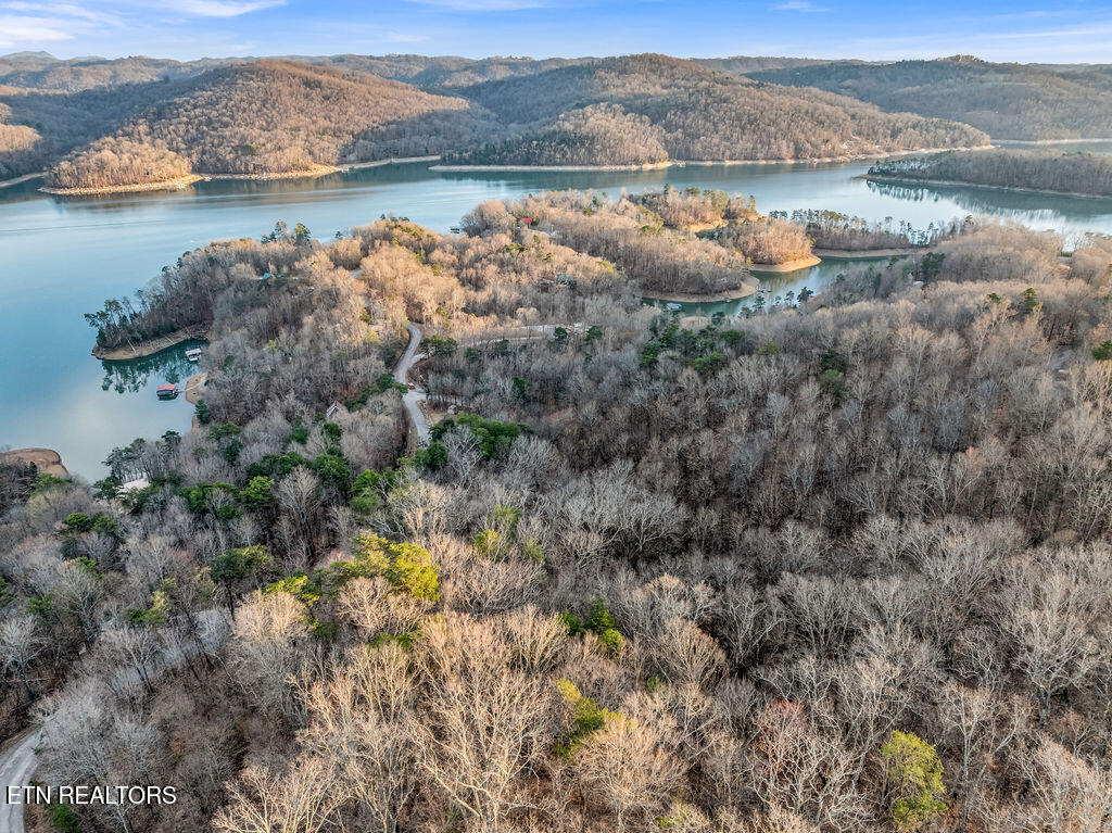 Lot 31 Ridgeland Drive Sharps Chapel TN 37866