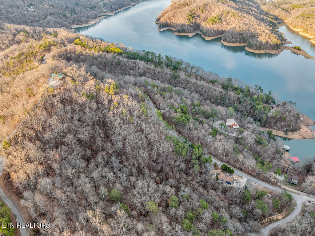 Lot 31 Ridgeland Drive Sharps Chapel TN 37866