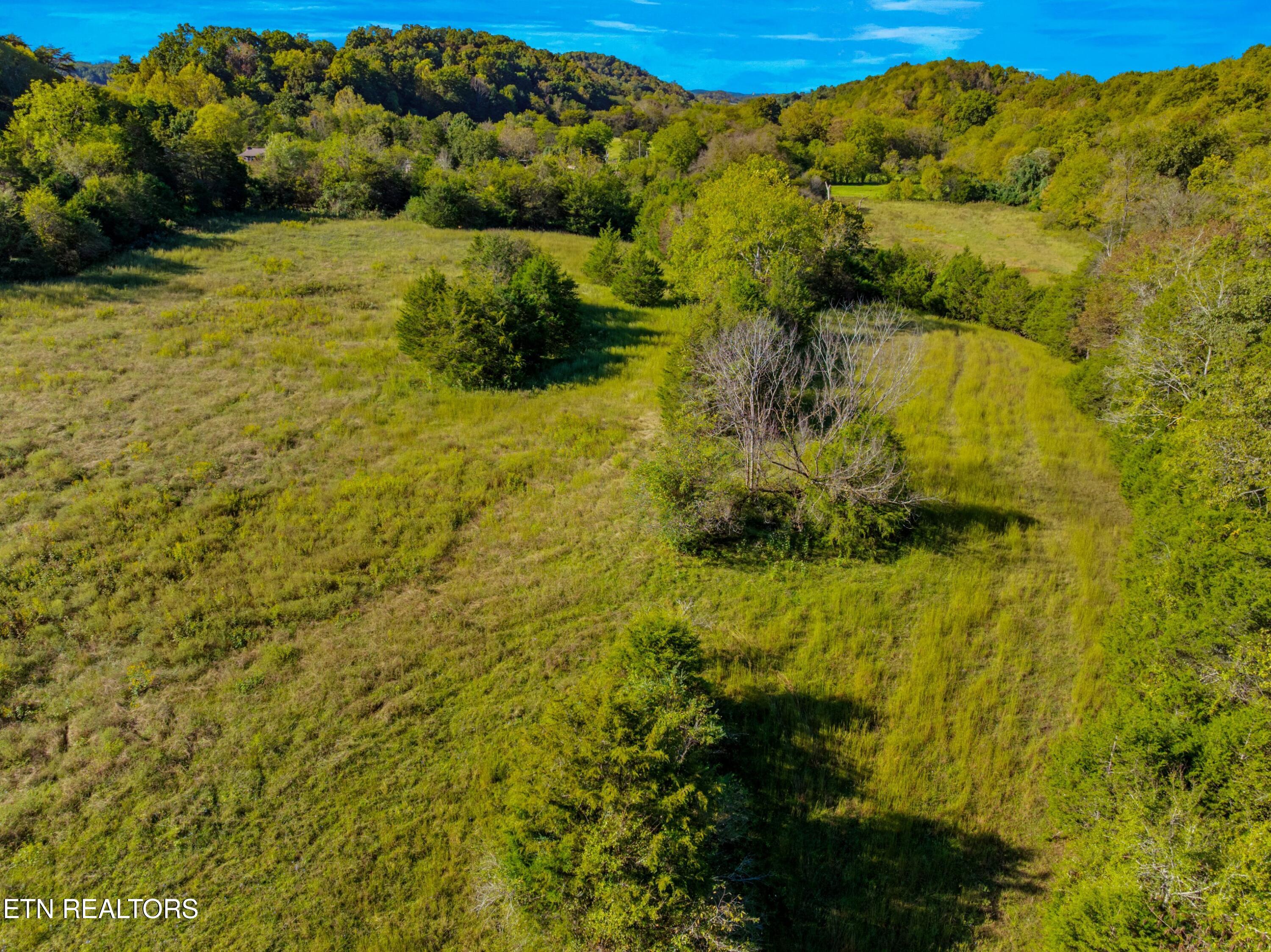 792 Rh Ellis Road Dandridge TN 37725