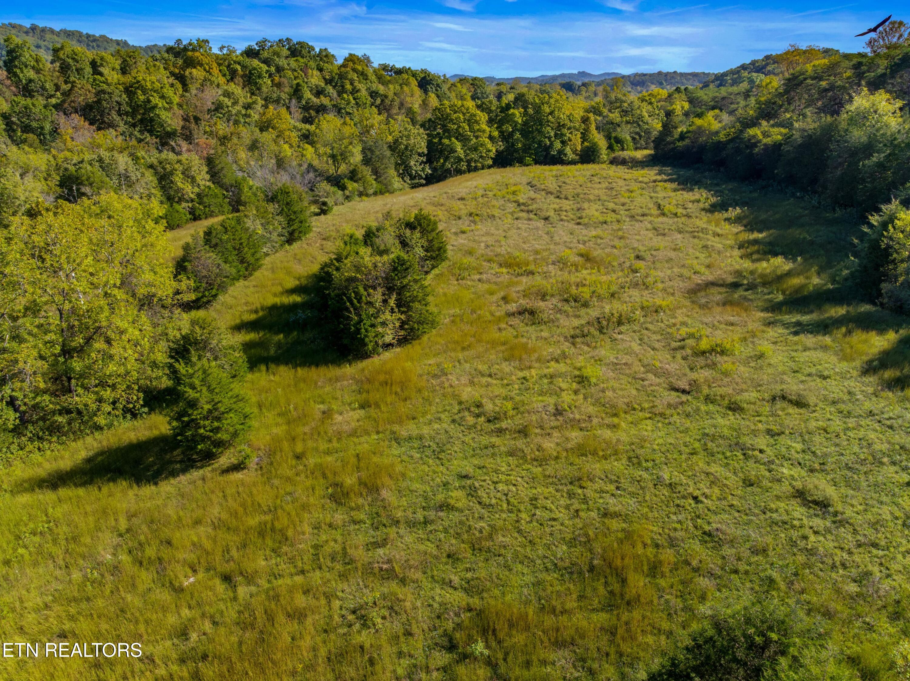 792 Rh Ellis Road Dandridge TN 37725