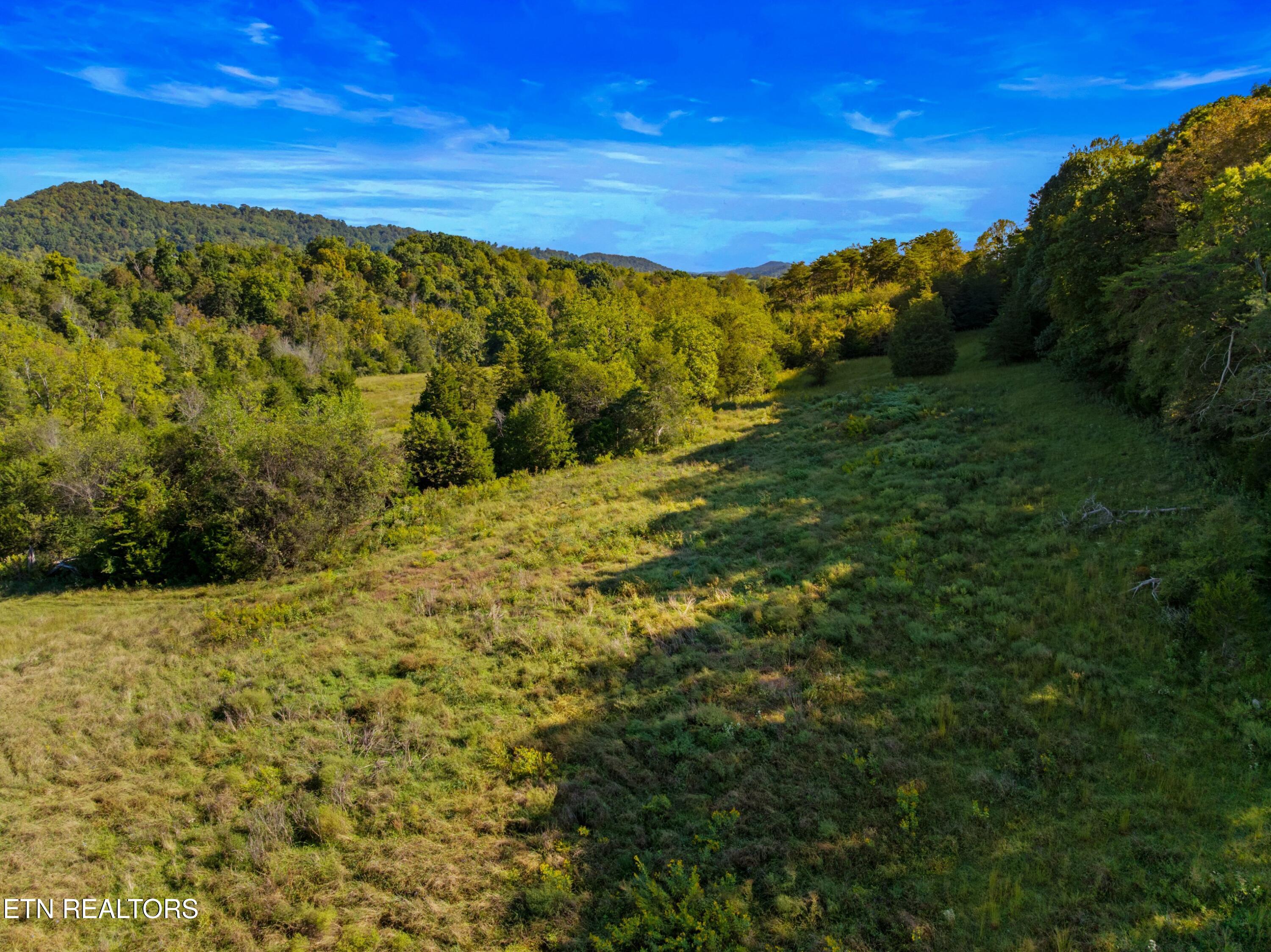 792 Rh Ellis Road Dandridge TN 37725