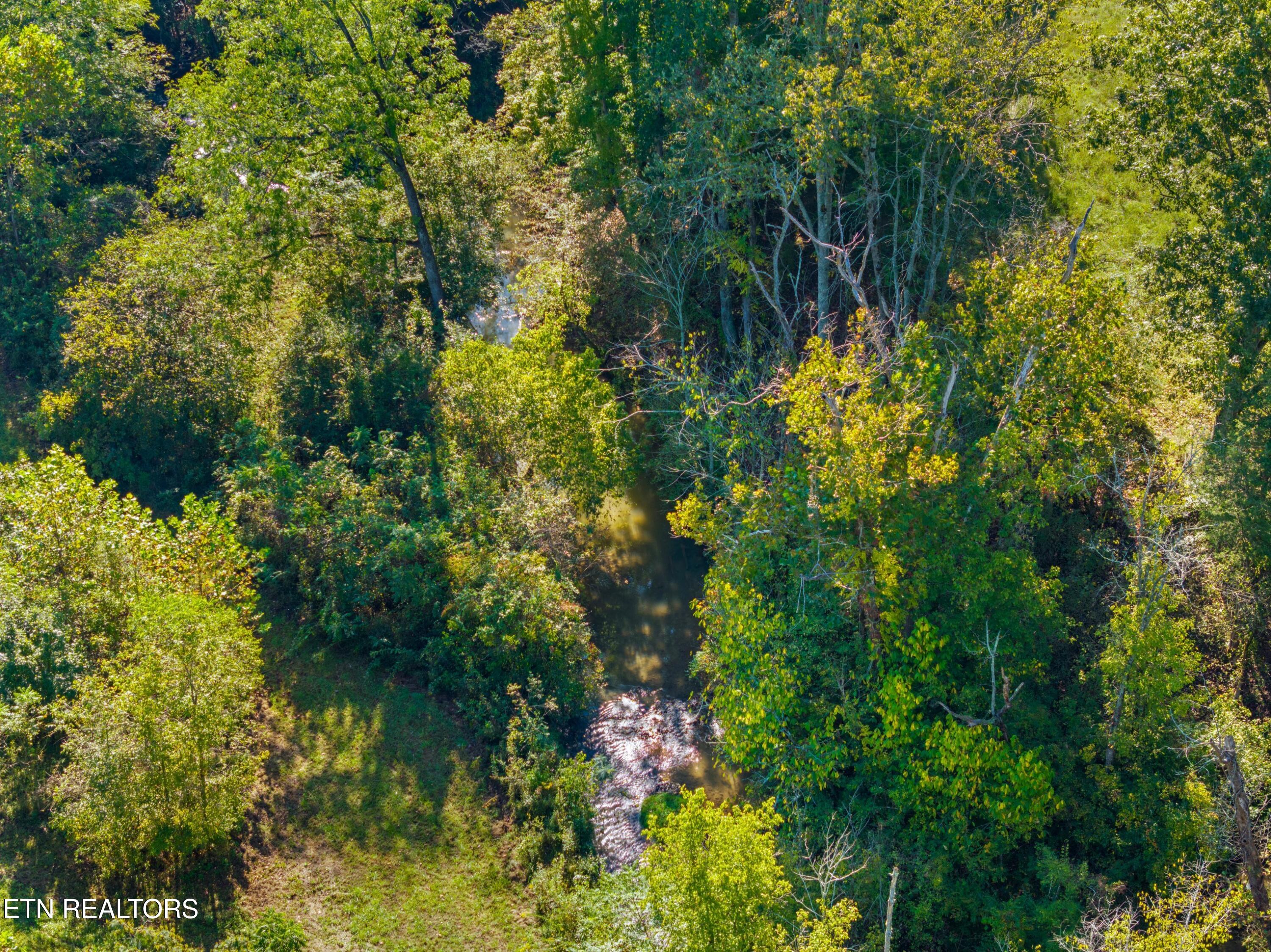 792 Rh Ellis Road Dandridge TN 37725
