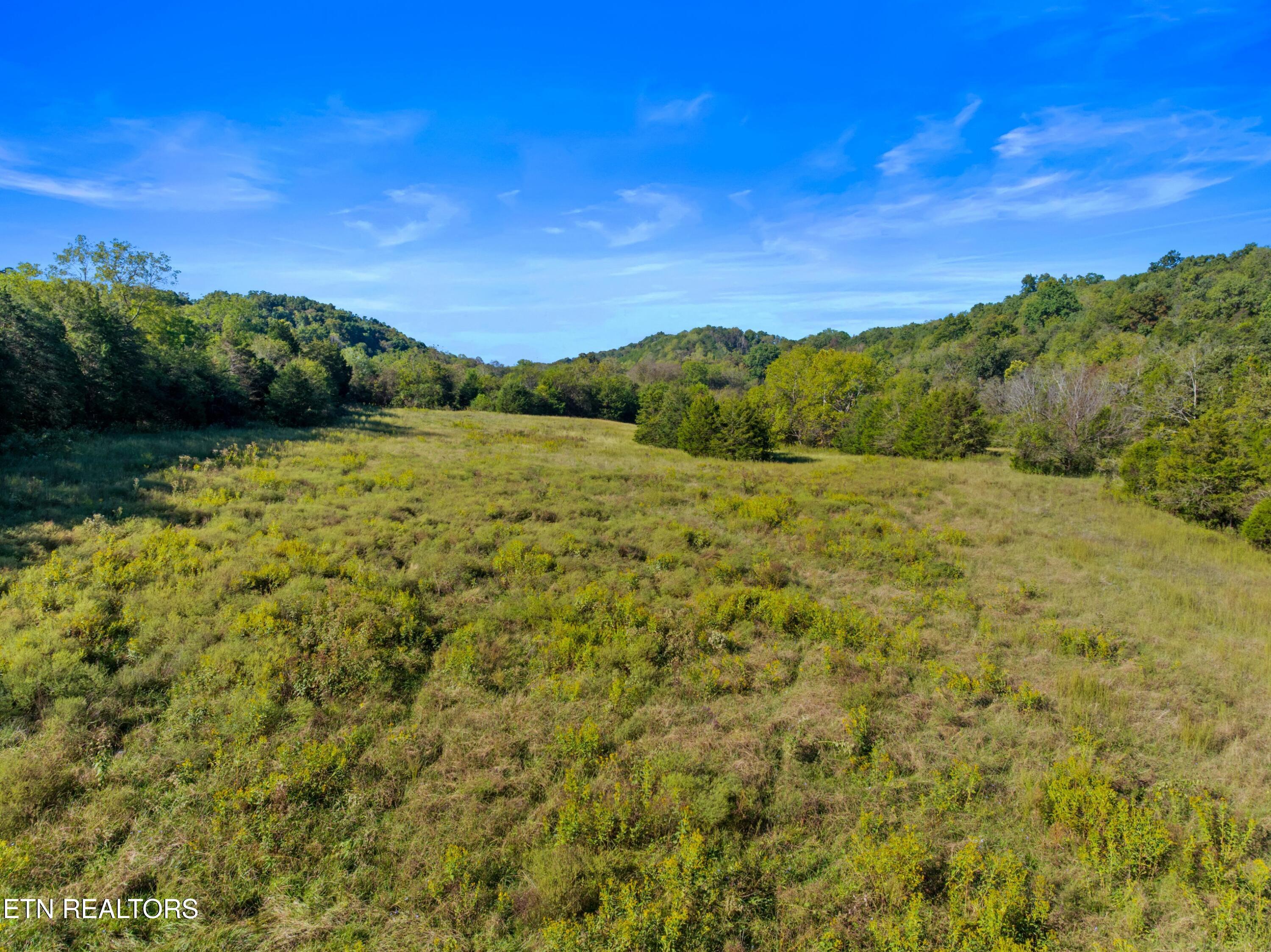 792 Rh Ellis Road Dandridge TN 37725