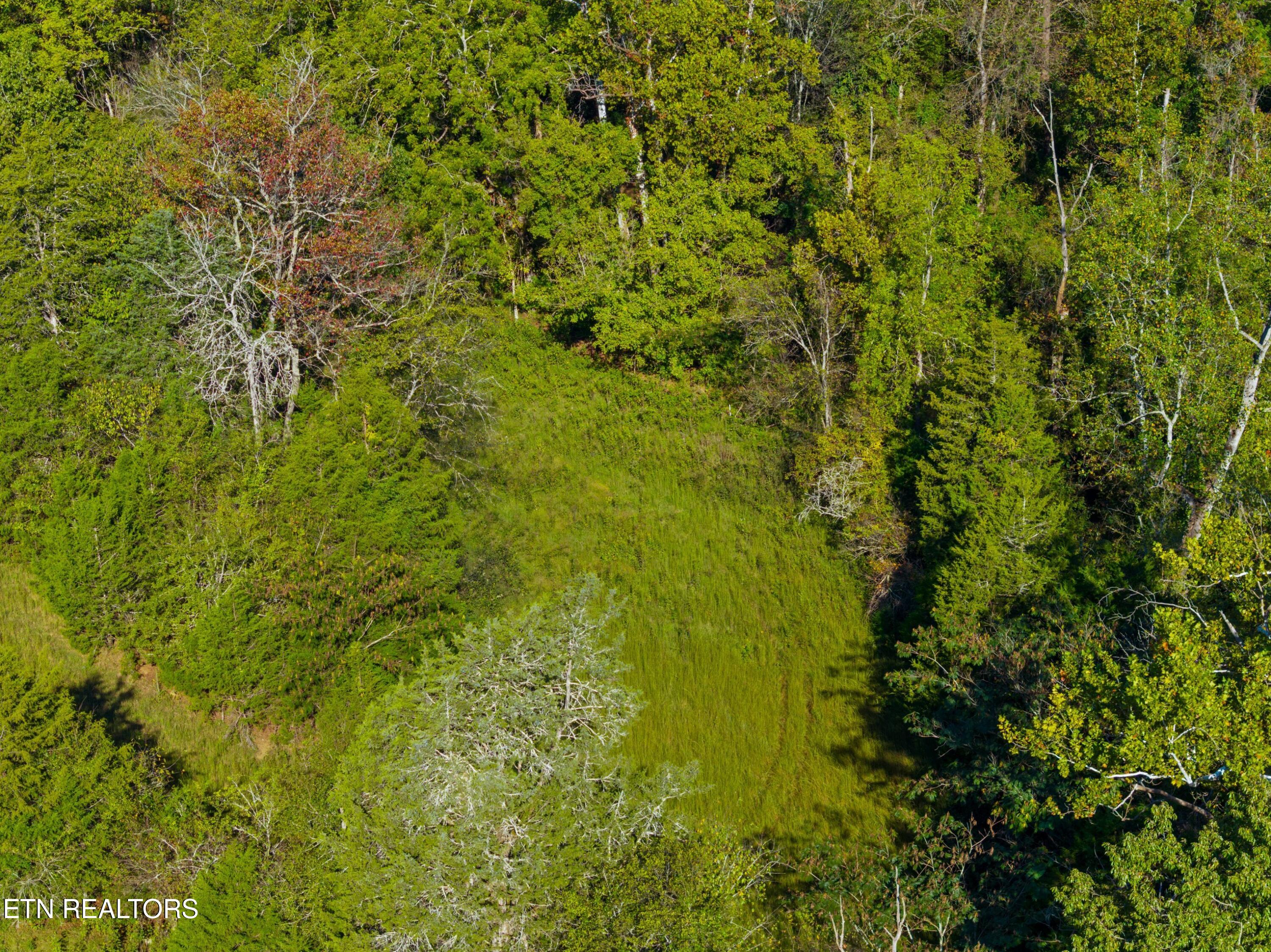 792 Rh Ellis Road Dandridge TN 37725