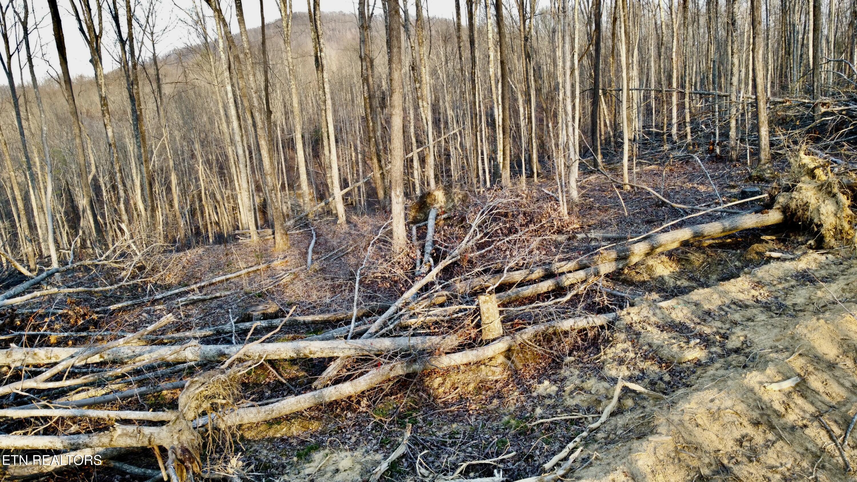 LOT#13 Mill Creek Road Sunbright TN 37872