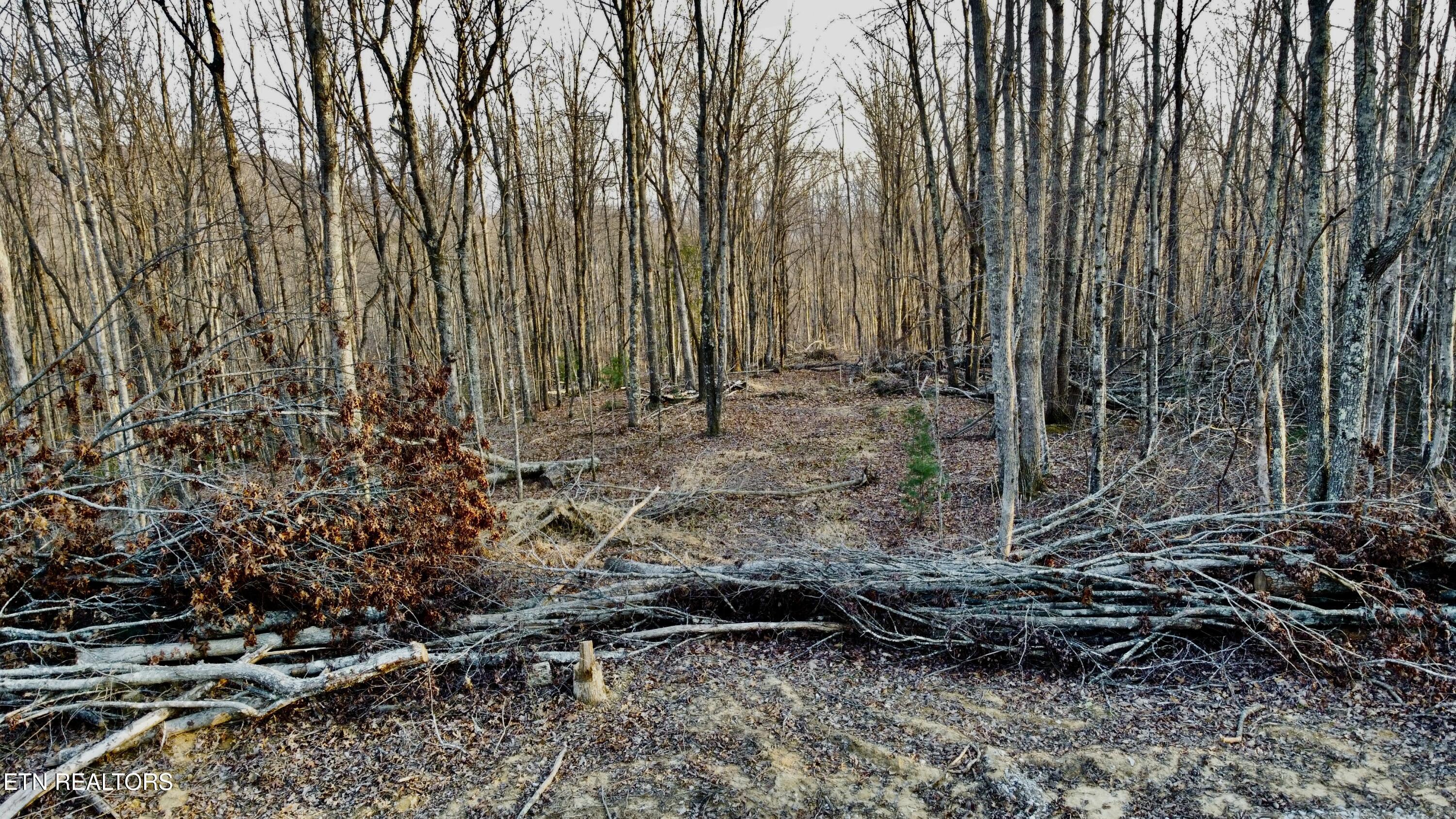 LOT#13 Mill Creek Road Sunbright TN 37872