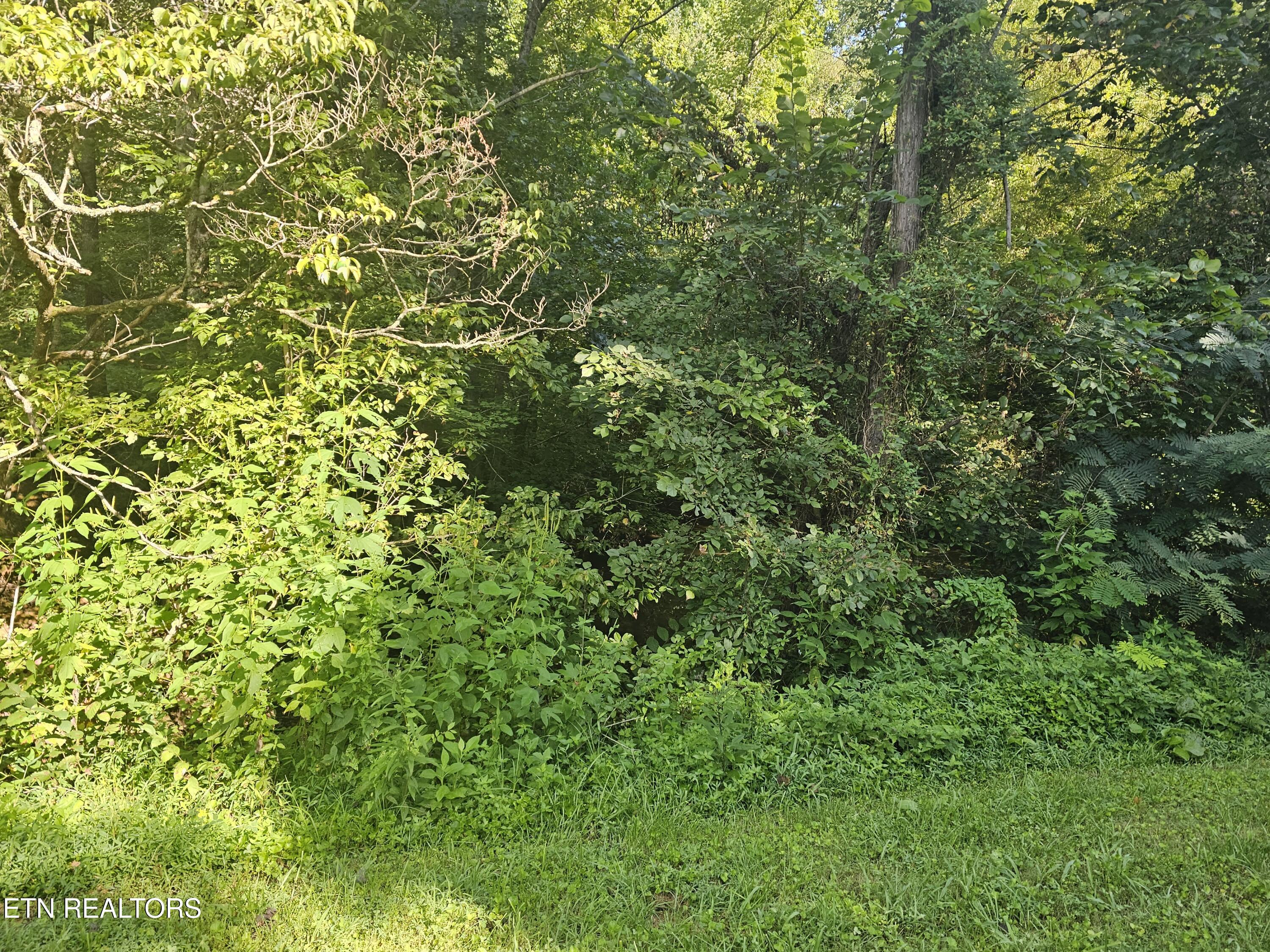 Lot 3 Franklin Way Sevierville TN 37876
