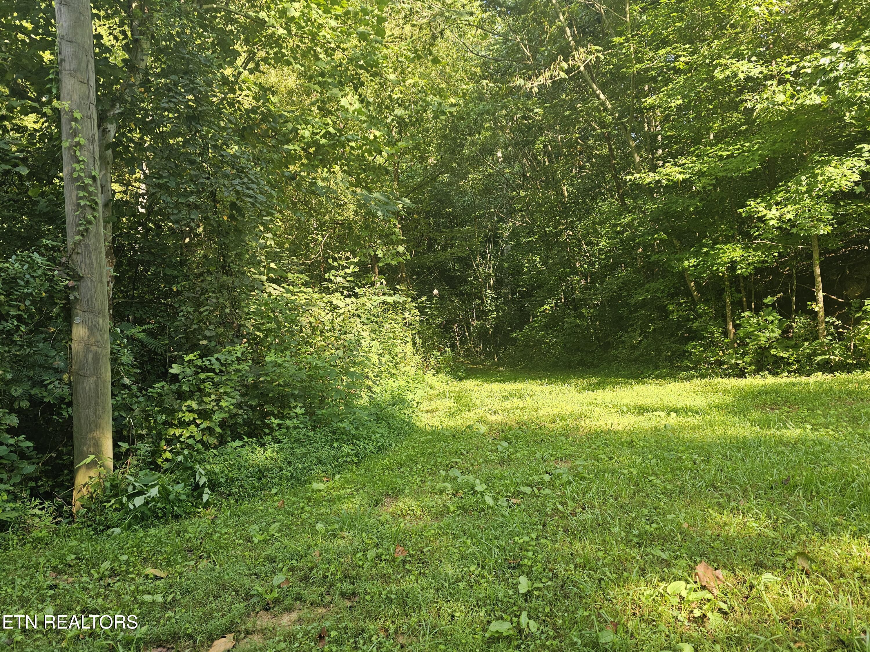 Lot 3 Franklin Way Sevierville TN 37876