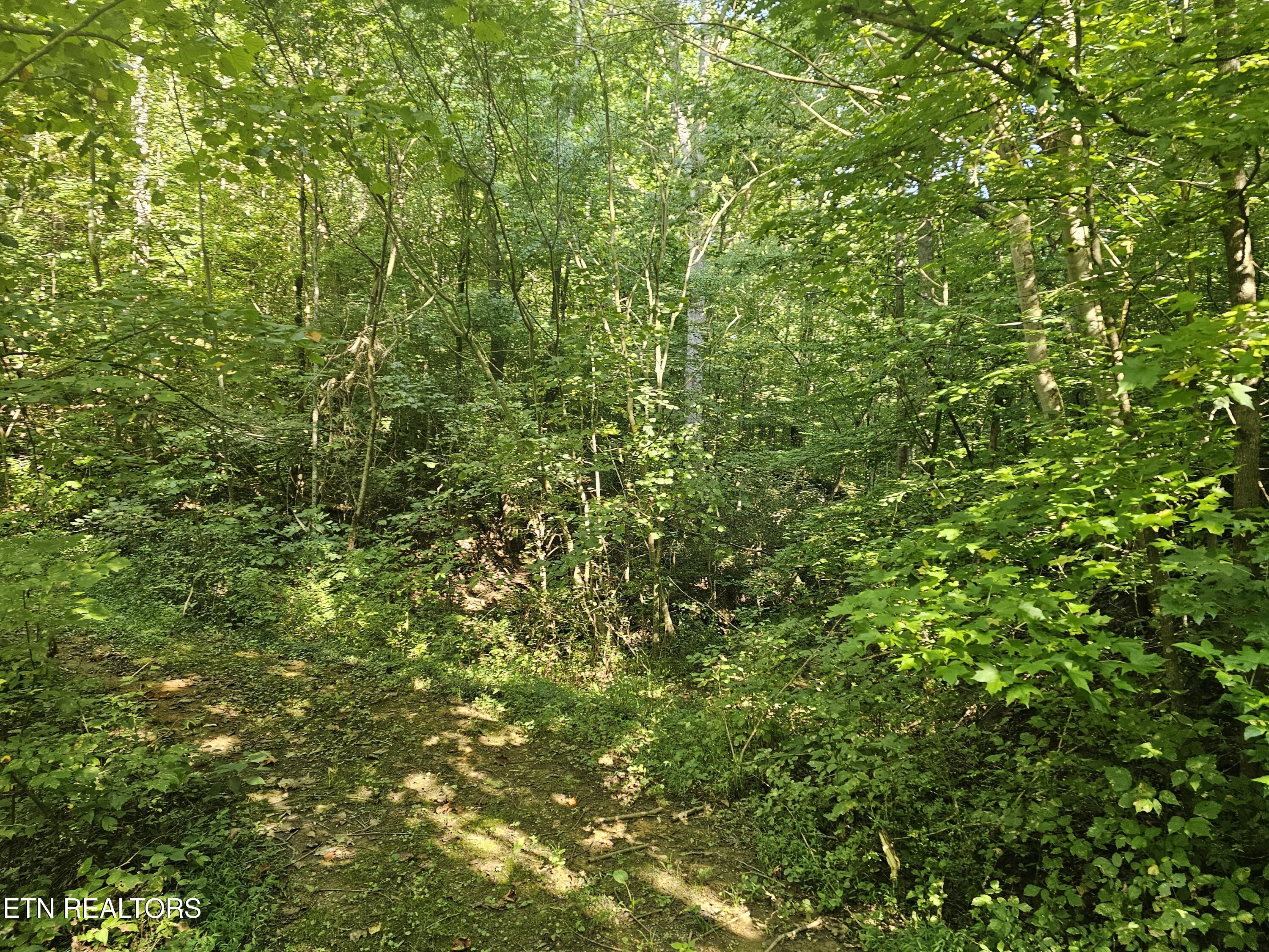 Lot 3 Franklin Way Sevierville TN 37876