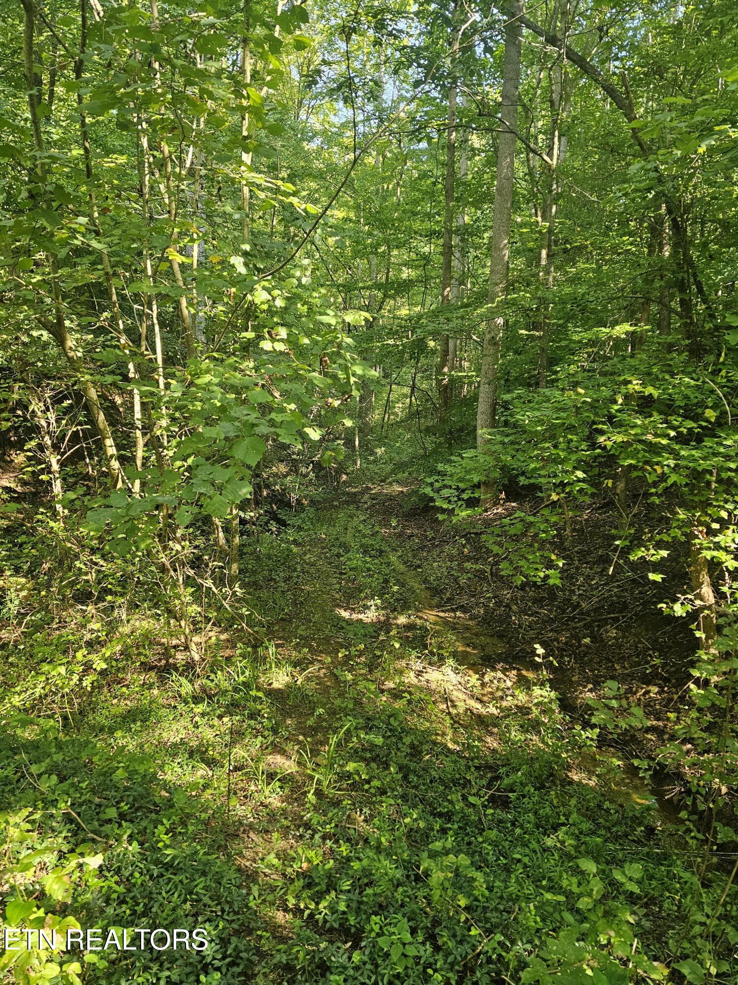 Lot 3 Franklin Way Sevierville TN 37876