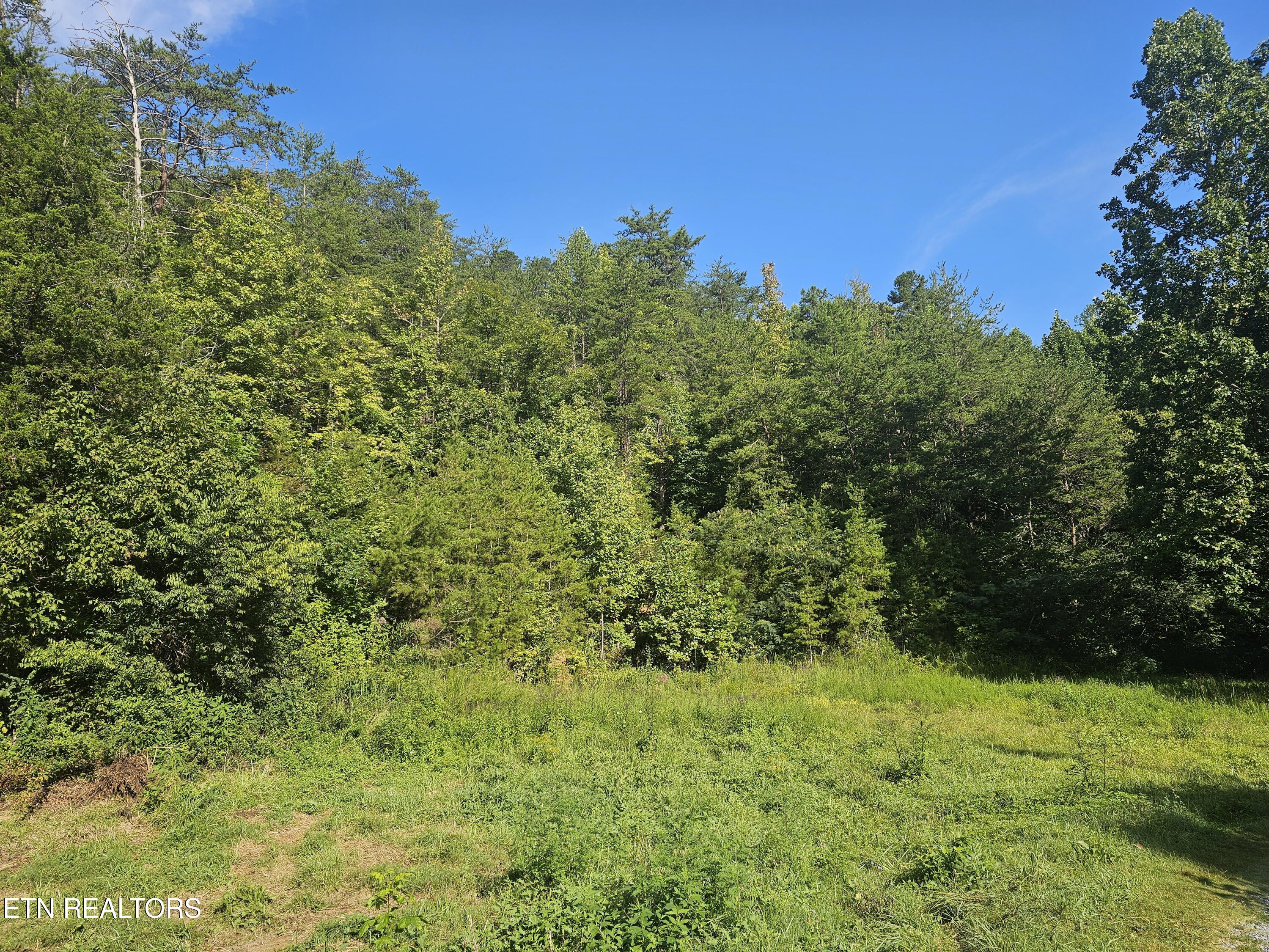 Lot 3 Franklin Way Sevierville TN 37876