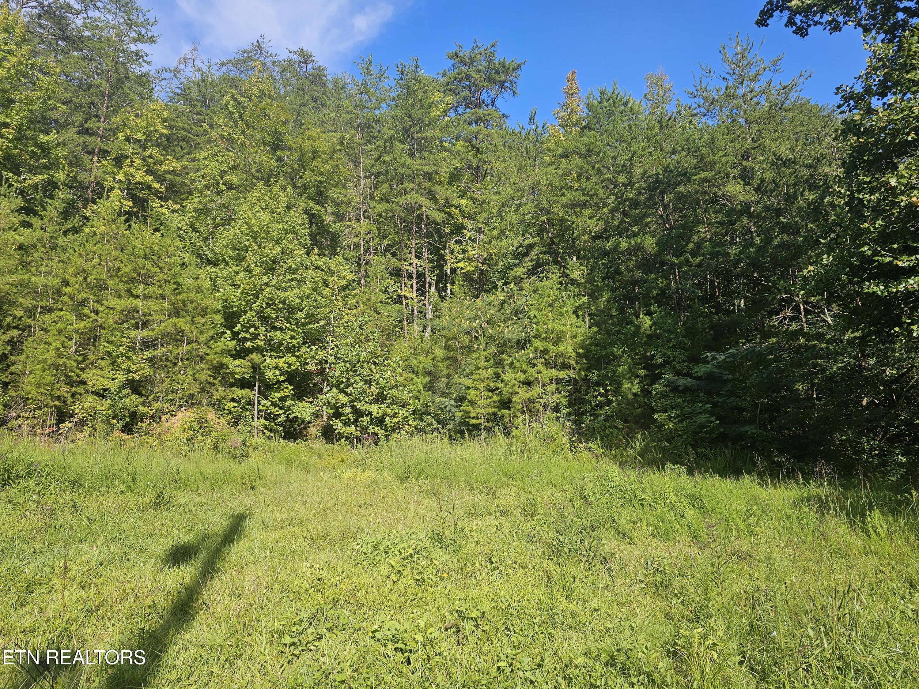 Lot 3 Franklin Way Sevierville TN 37876