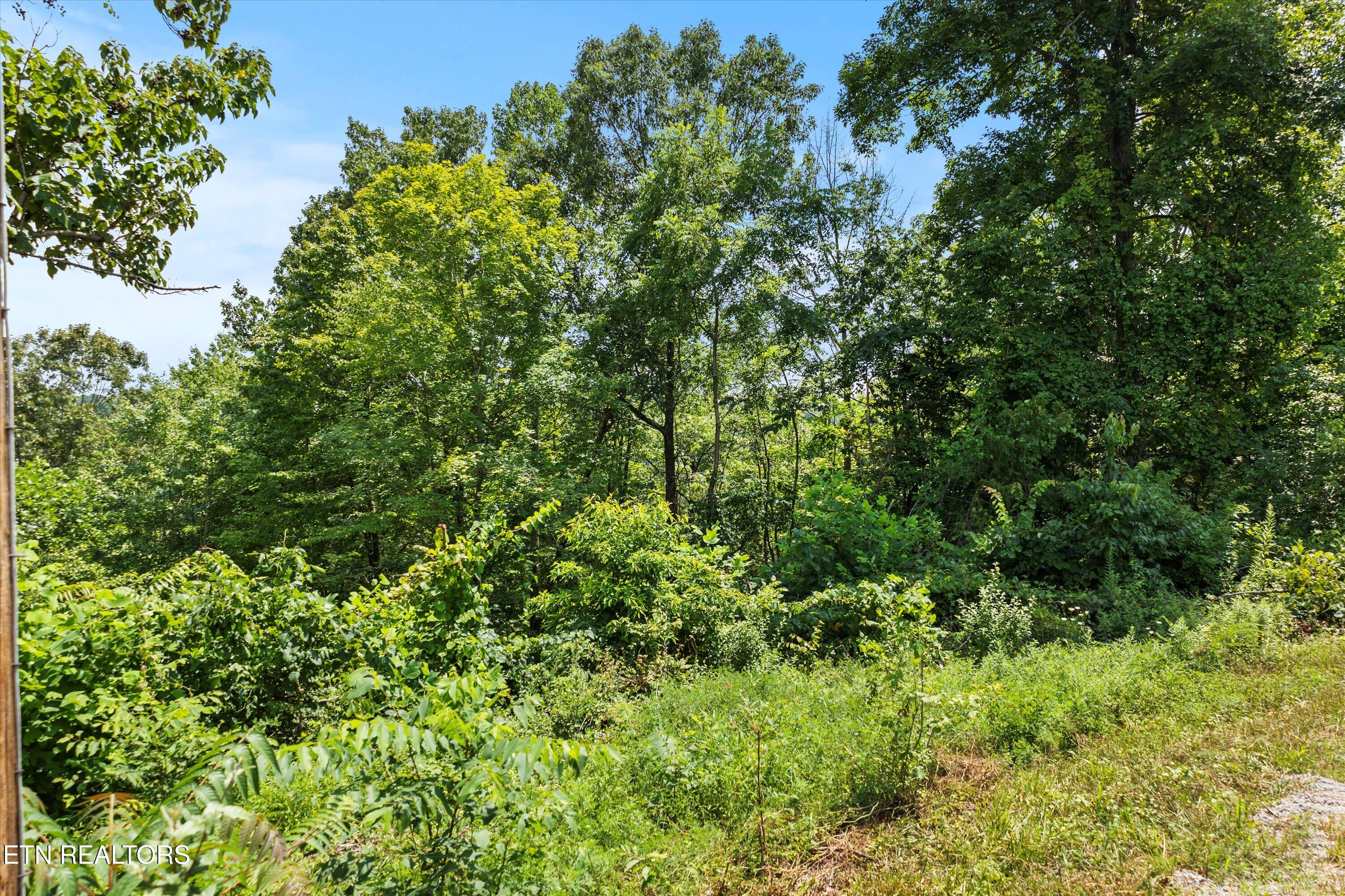 711 Jim Lee Ridge Road Lafollette TN 37766