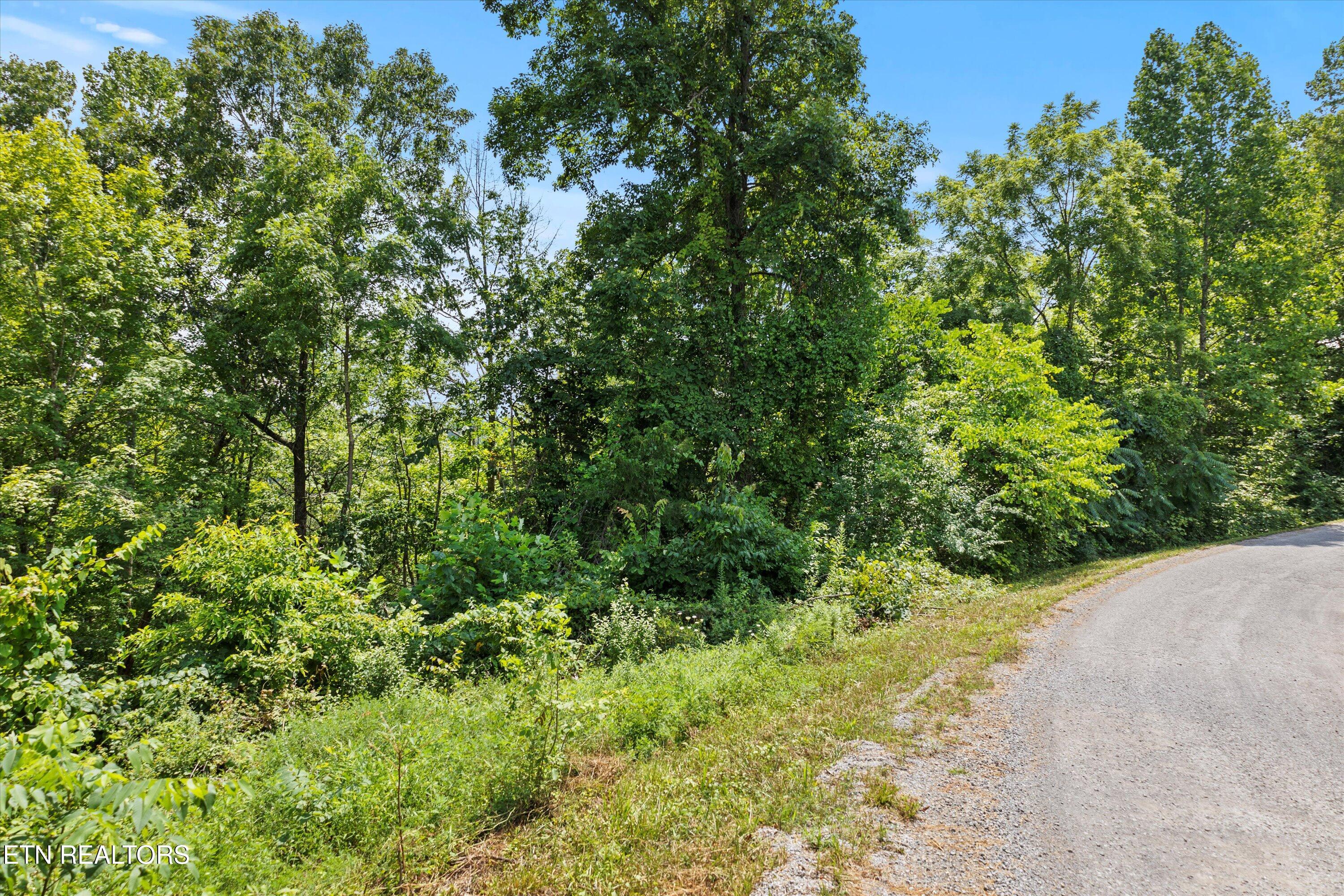 711 Jim Lee Ridge Road Lafollette TN 37766