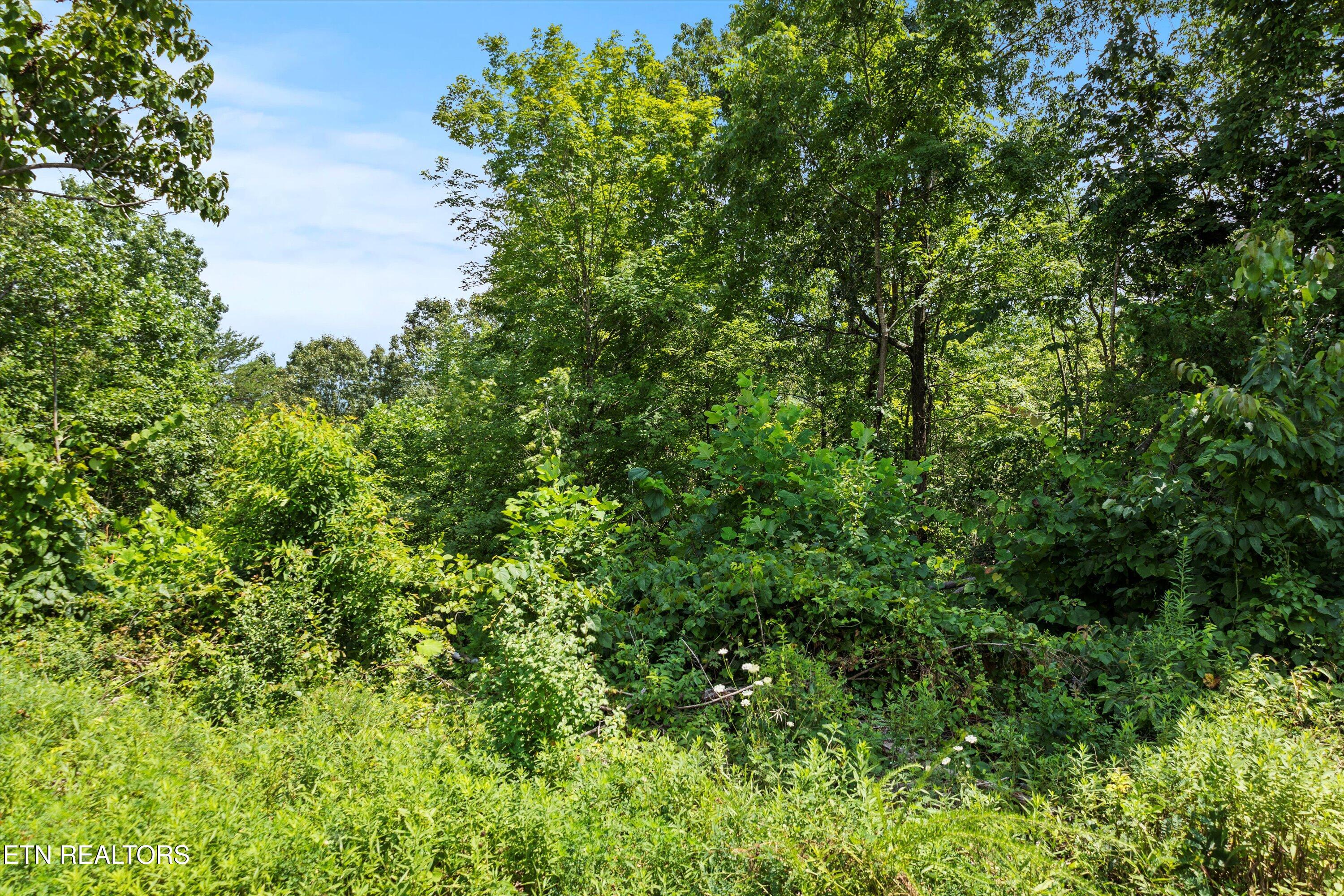 711 Jim Lee Ridge Road Lafollette TN 37766
