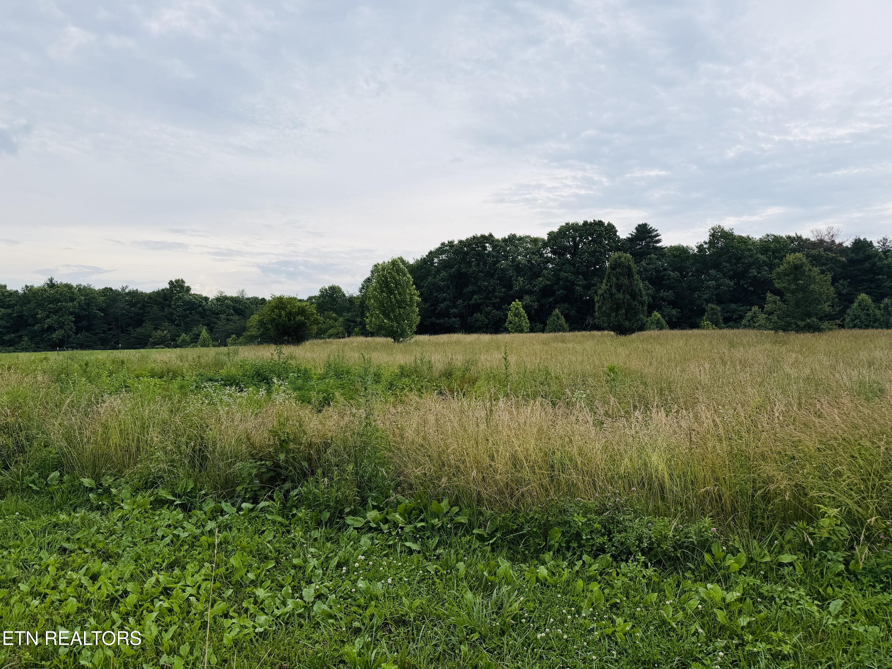 9.8 Acres Tyler Trail Jamestown TN 38556
