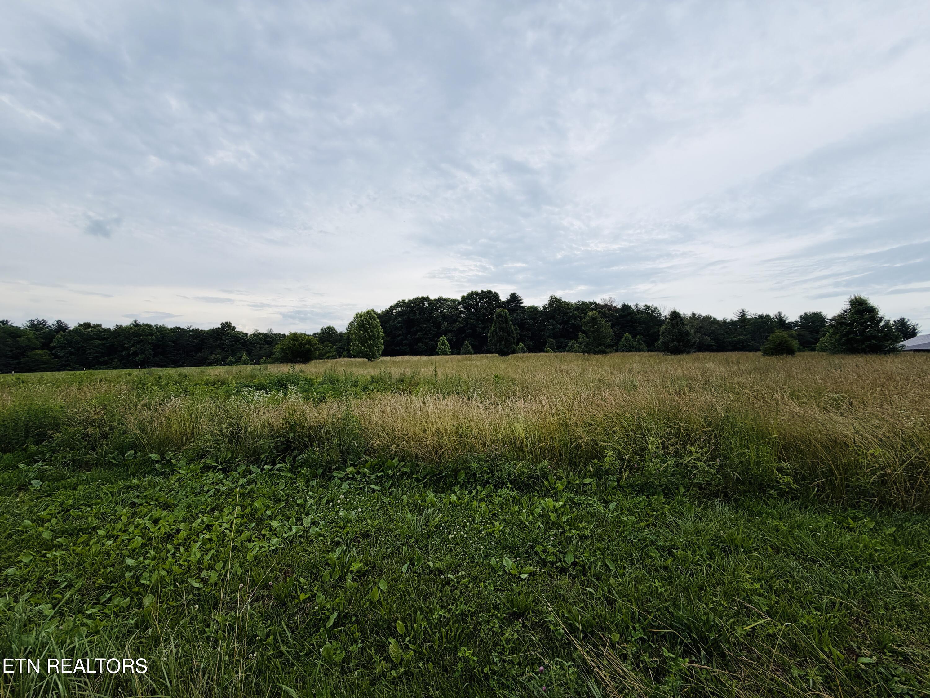 9.8 Acres Tyler Trail Jamestown TN 38556