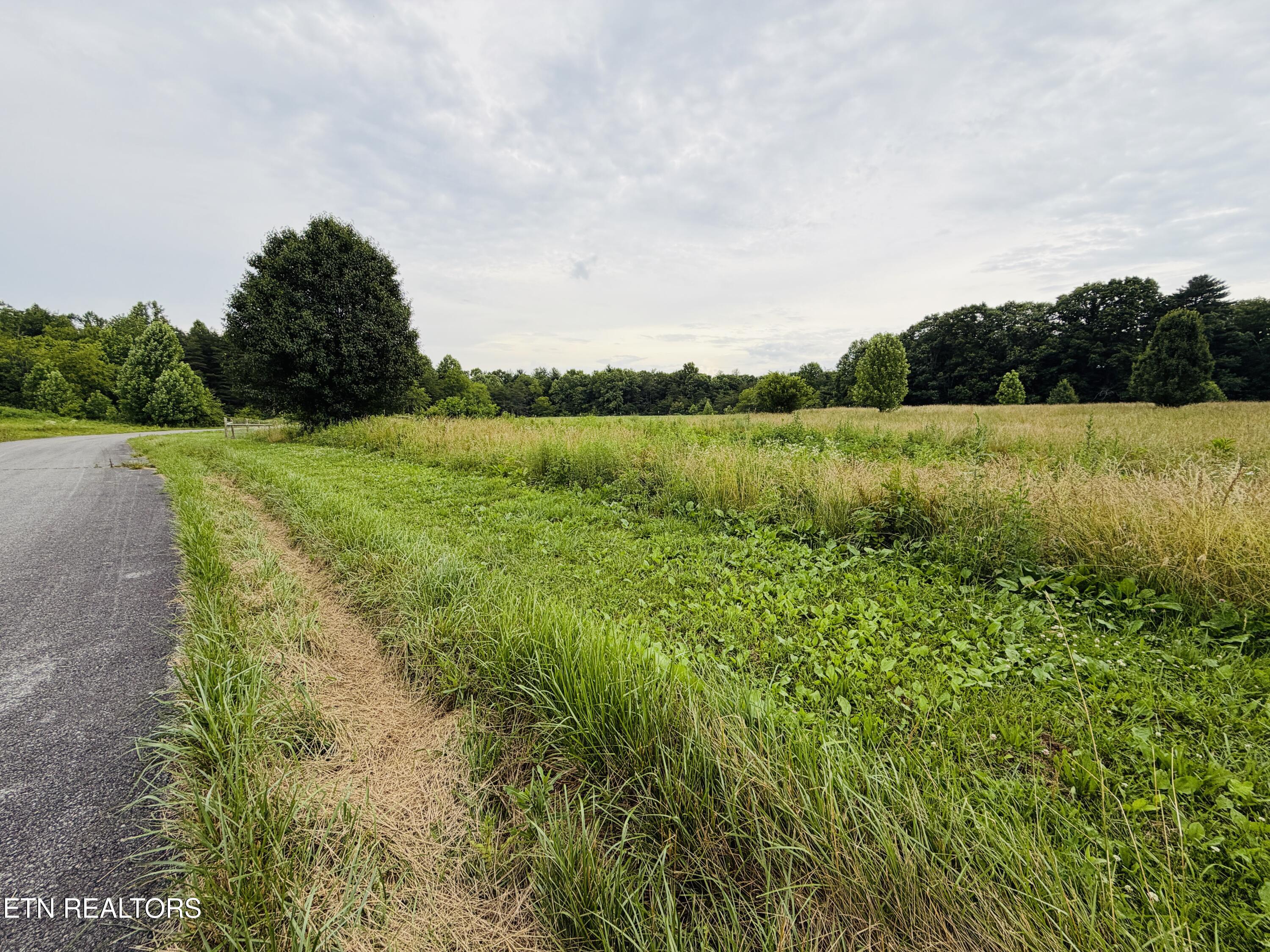 9.8 Acres Tyler Trail Jamestown TN 38556
