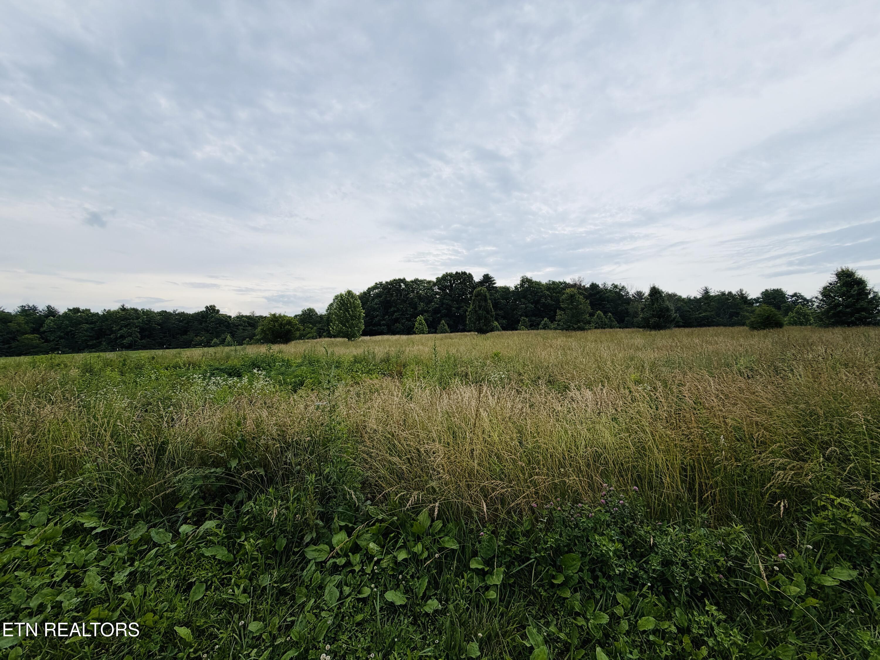 9.8 Acres Tyler Trail Jamestown TN 38556