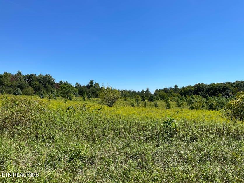9.8 Acres Tyler Trail Jamestown TN 38556